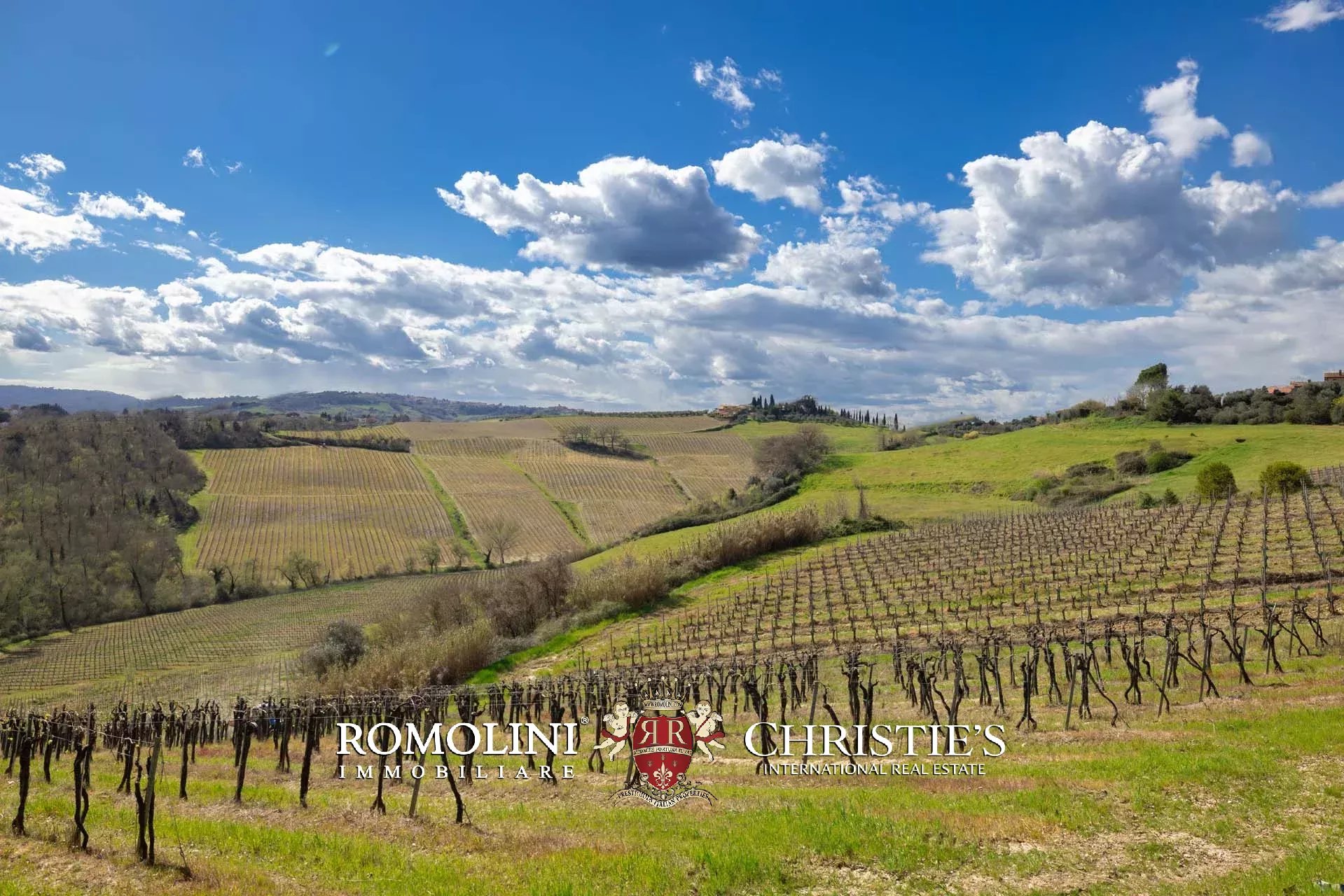15 Bedroom Vineyard's Image 15