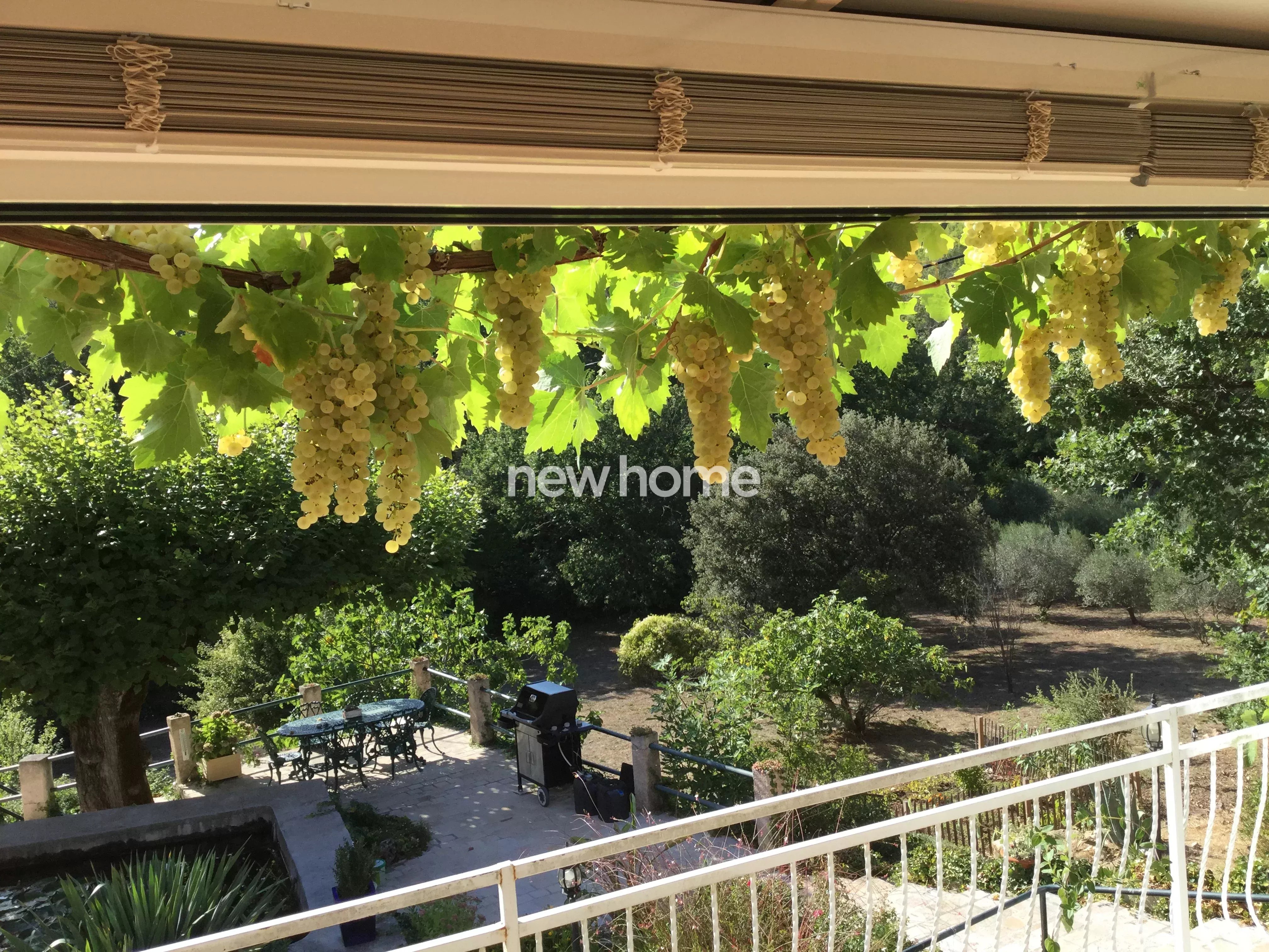 Belle propriété avec des oliviers et gîte indépendant