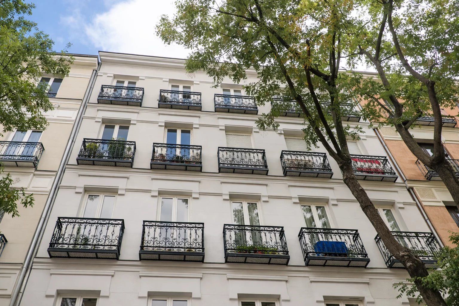 Distinguished property under renovation