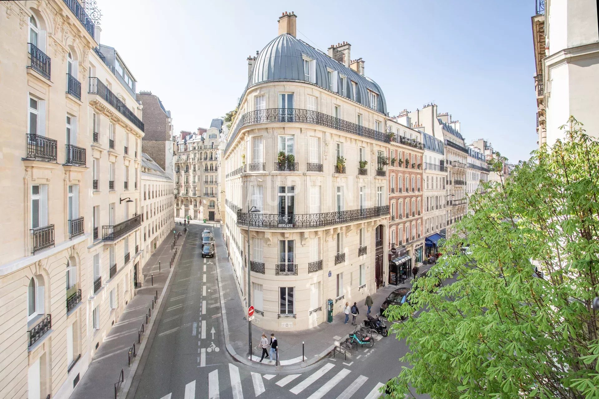 Agence immobilière de Agence Dauphine Rive Gauche 6ème Sud