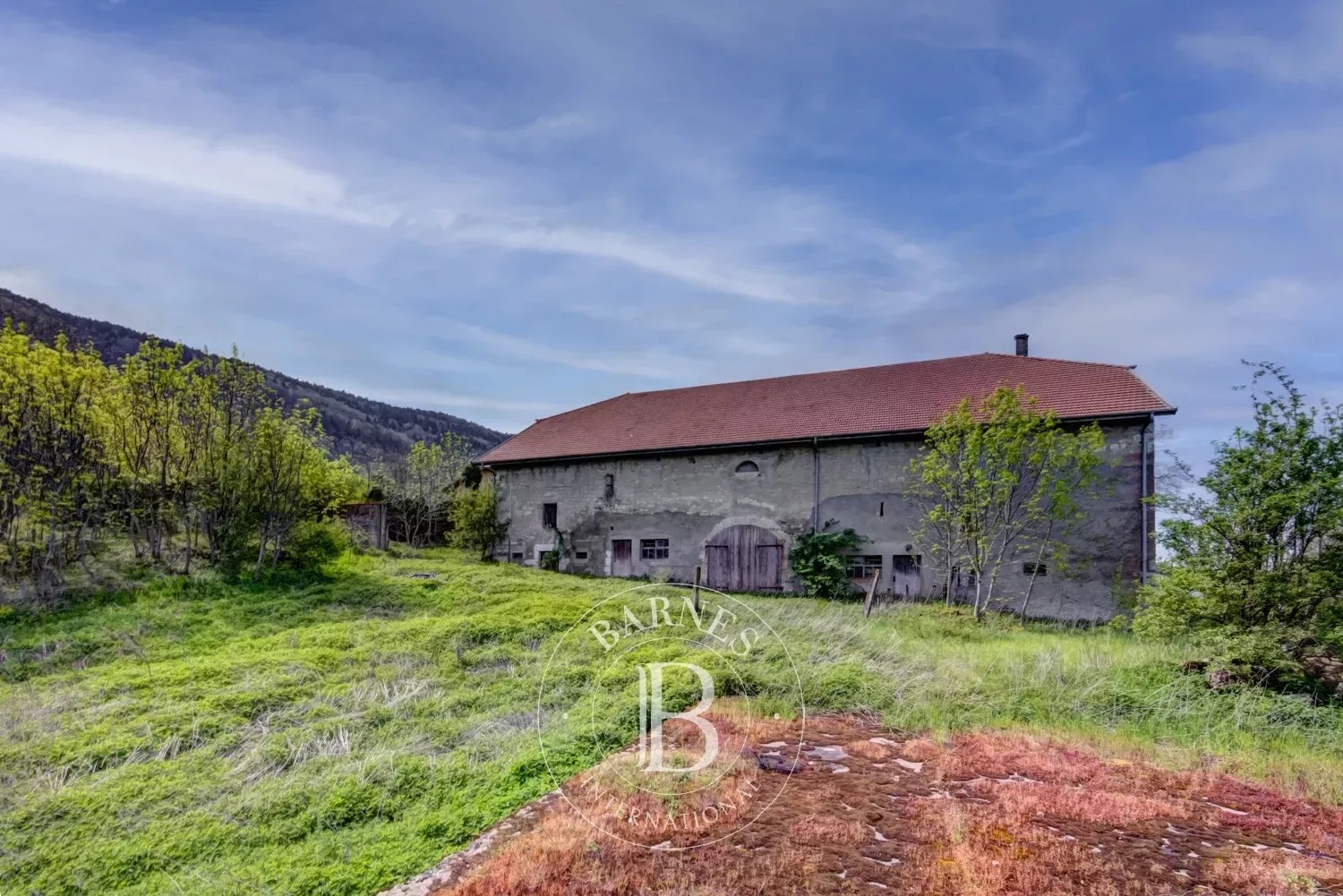 Ferme Présilly  -  ref 85299058 (picture 3)