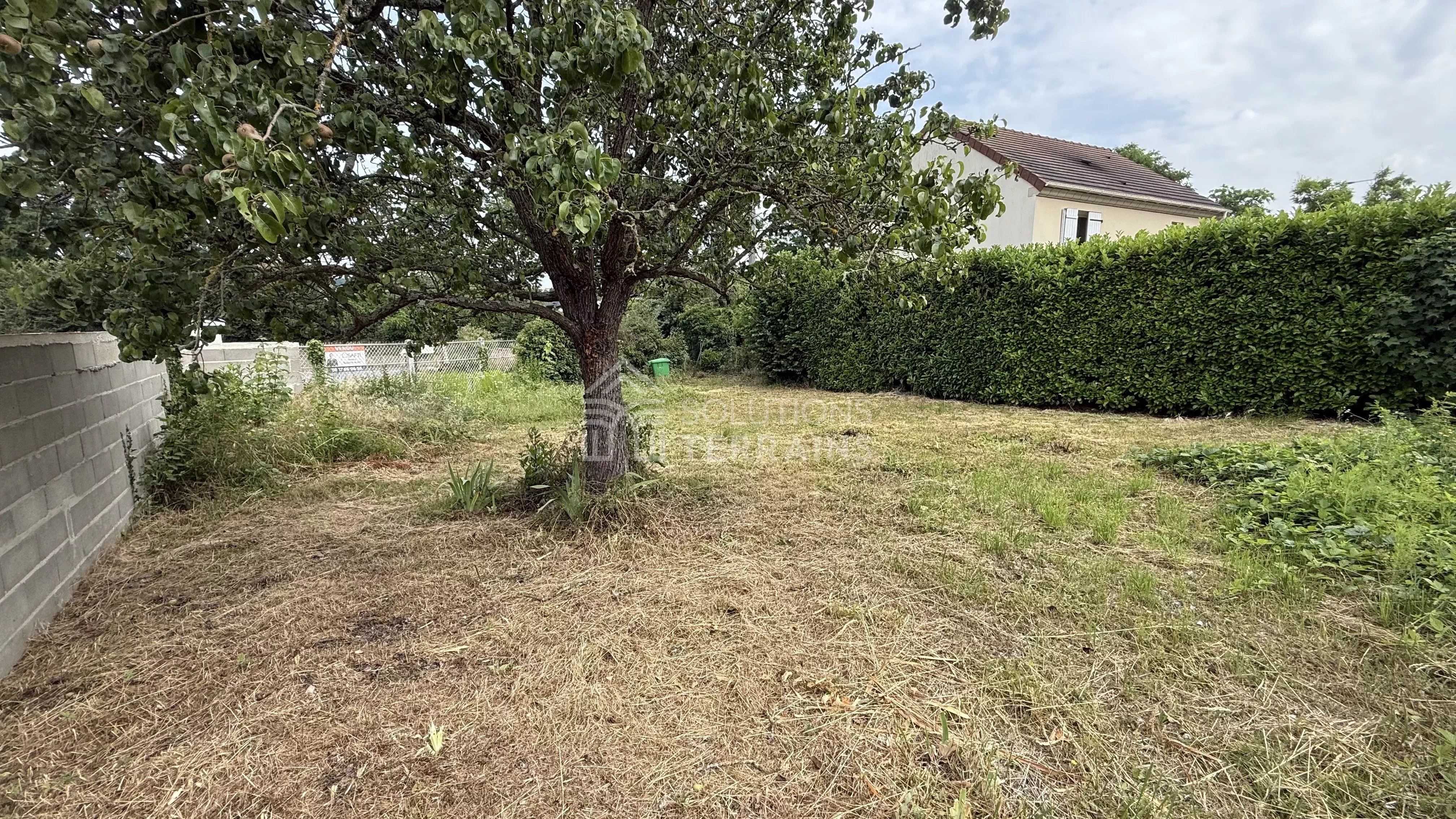 Agence immobilière de Solutions Terrains