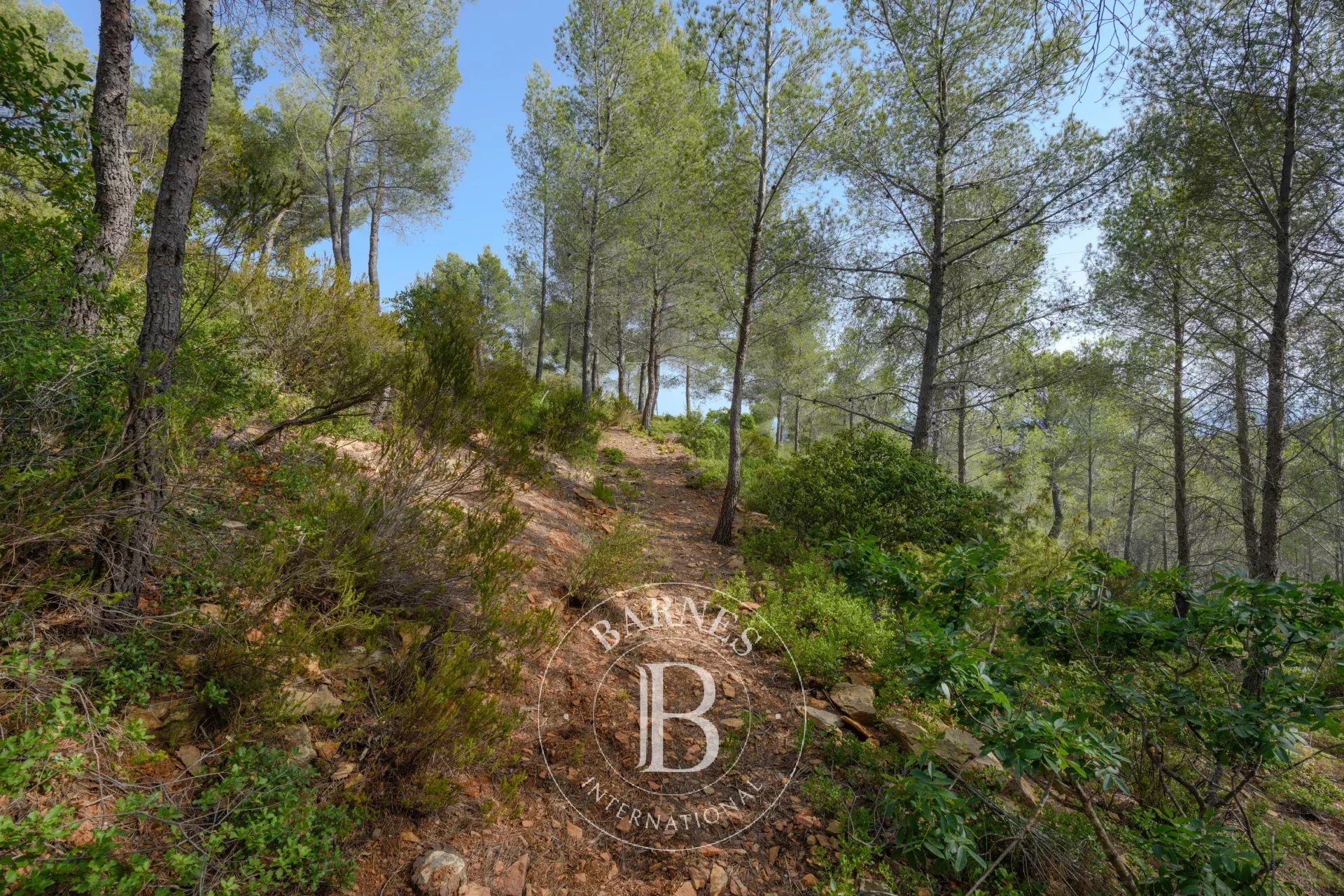 Mülkiyet Ceyreste - picture 14