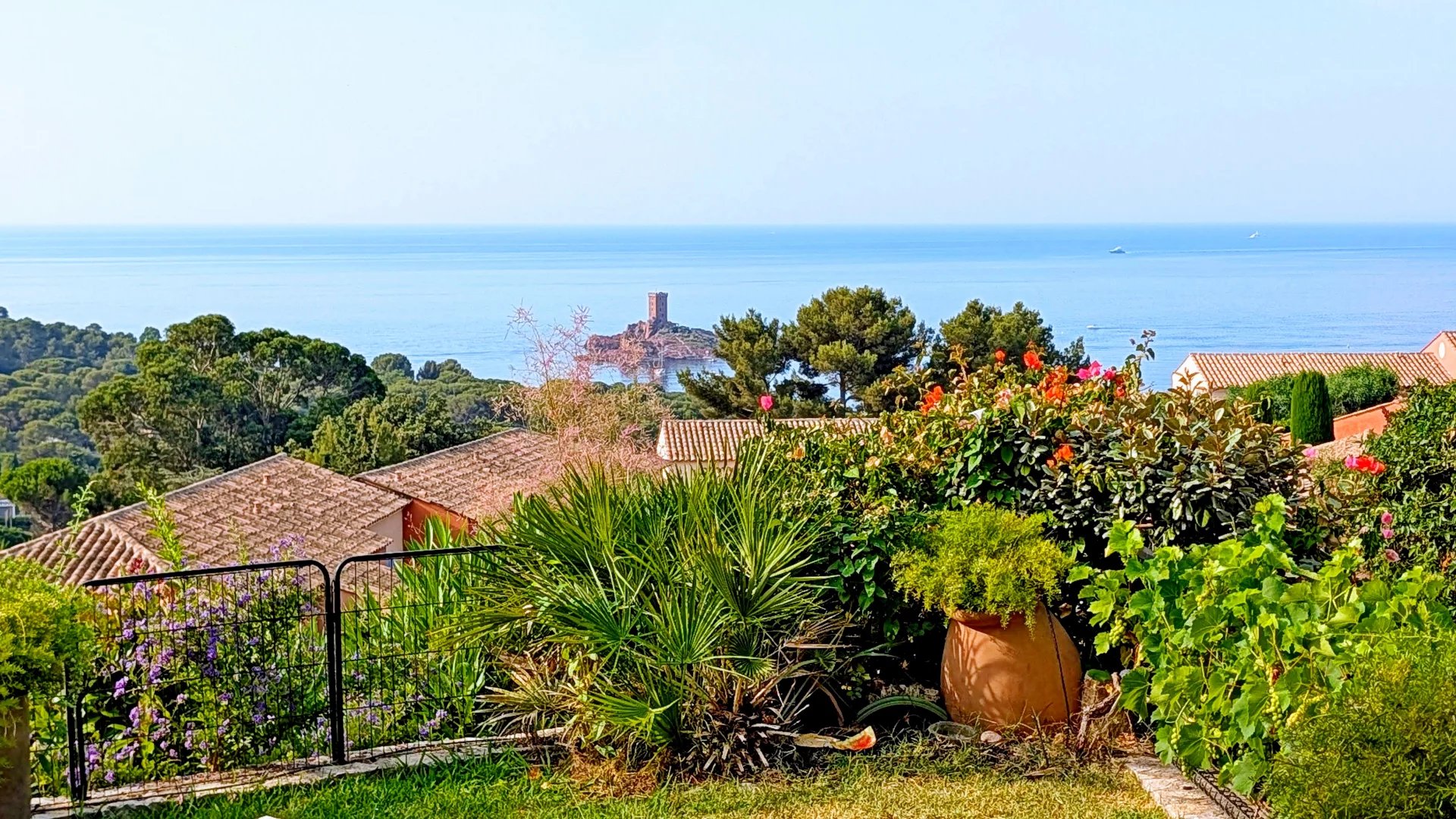 Agence immobilière de Azzurra Immobilier