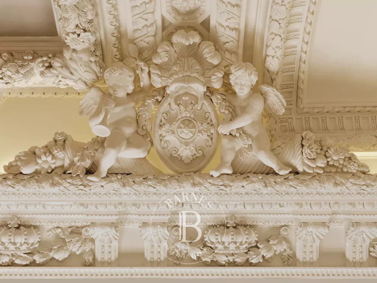 Paris  - Mansion  - picture 4