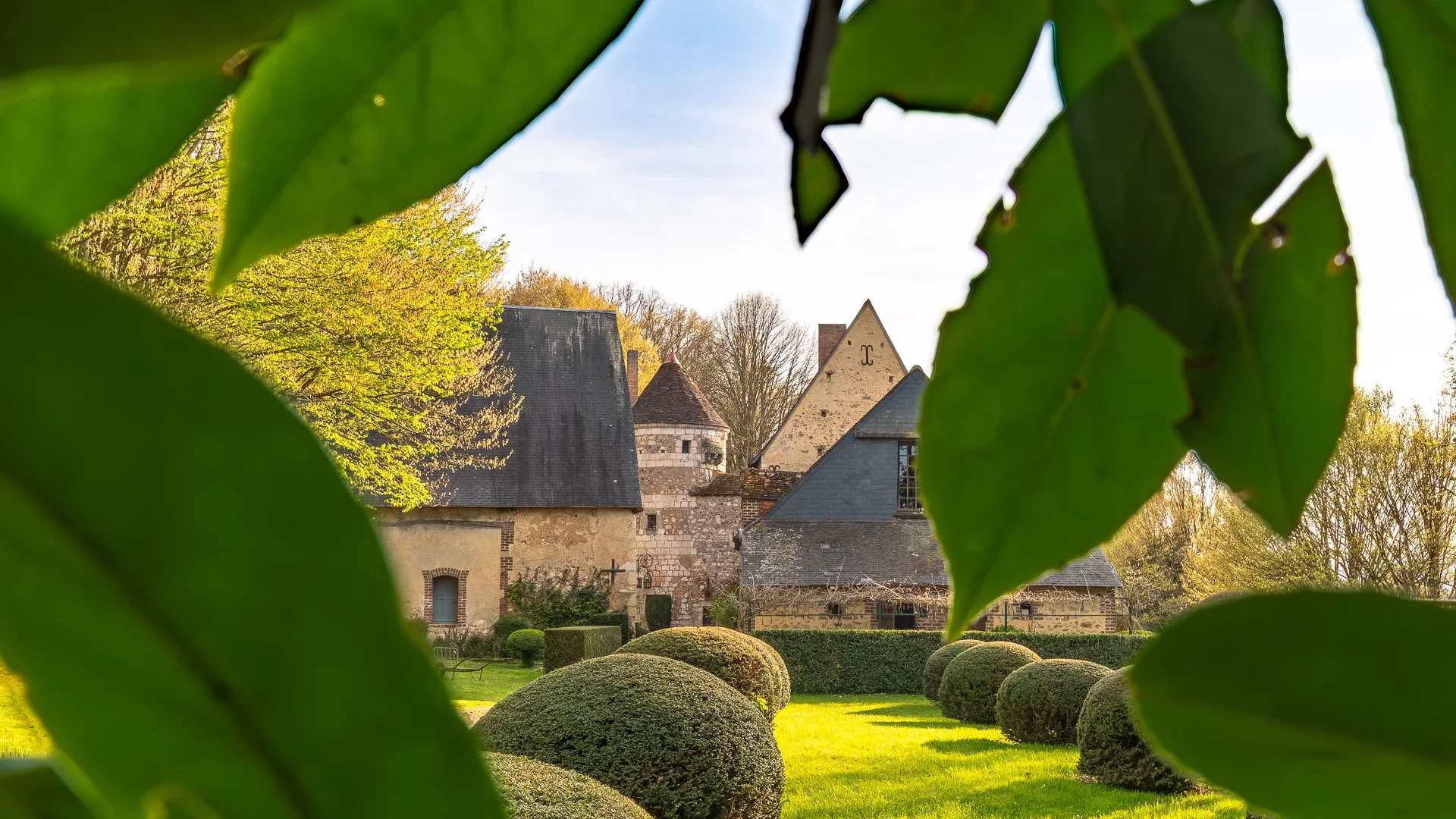 Bonneveau - Exclusivité