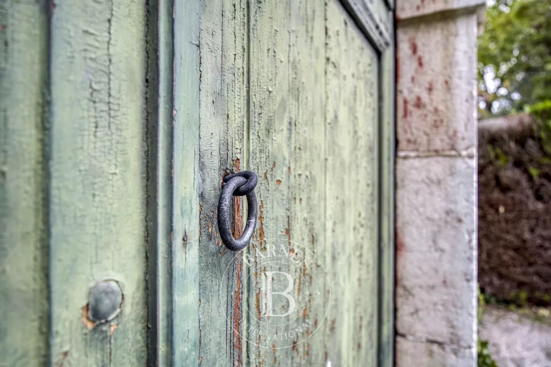 Ev Ornex - picture 21