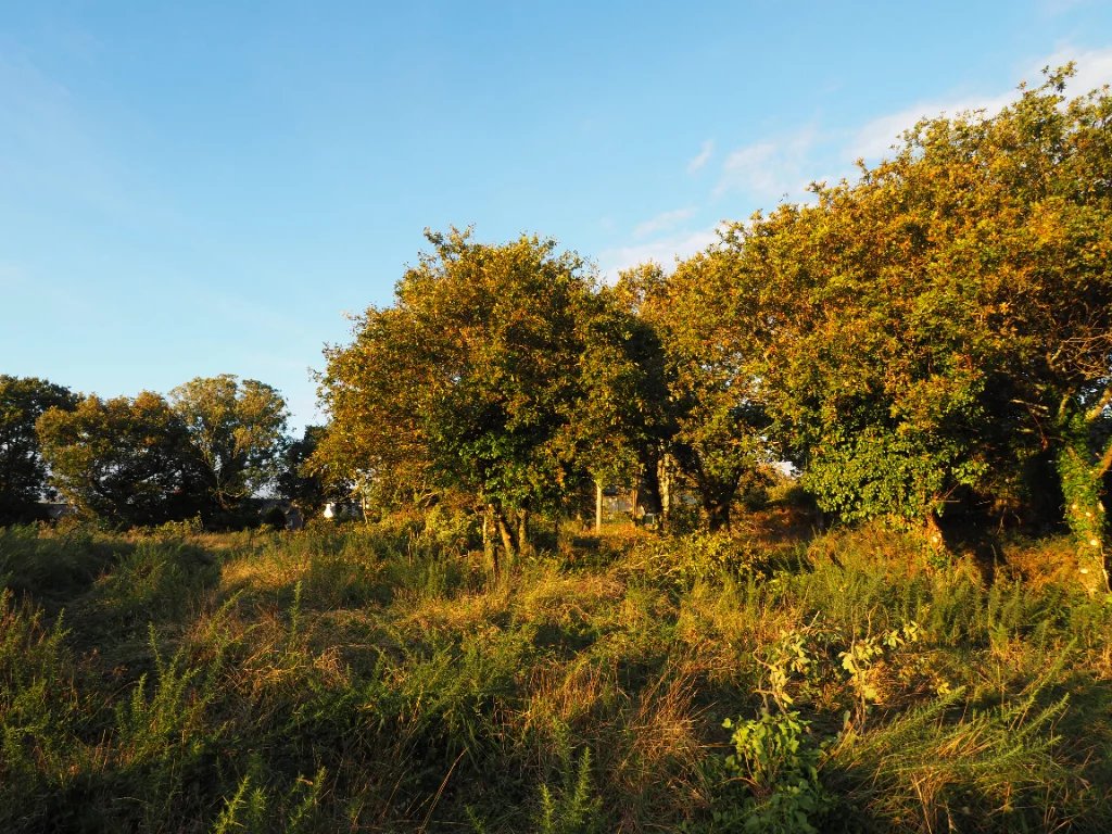 CONCARNEAU - LE CABELLOU - Terrain à bâtir de 567m2