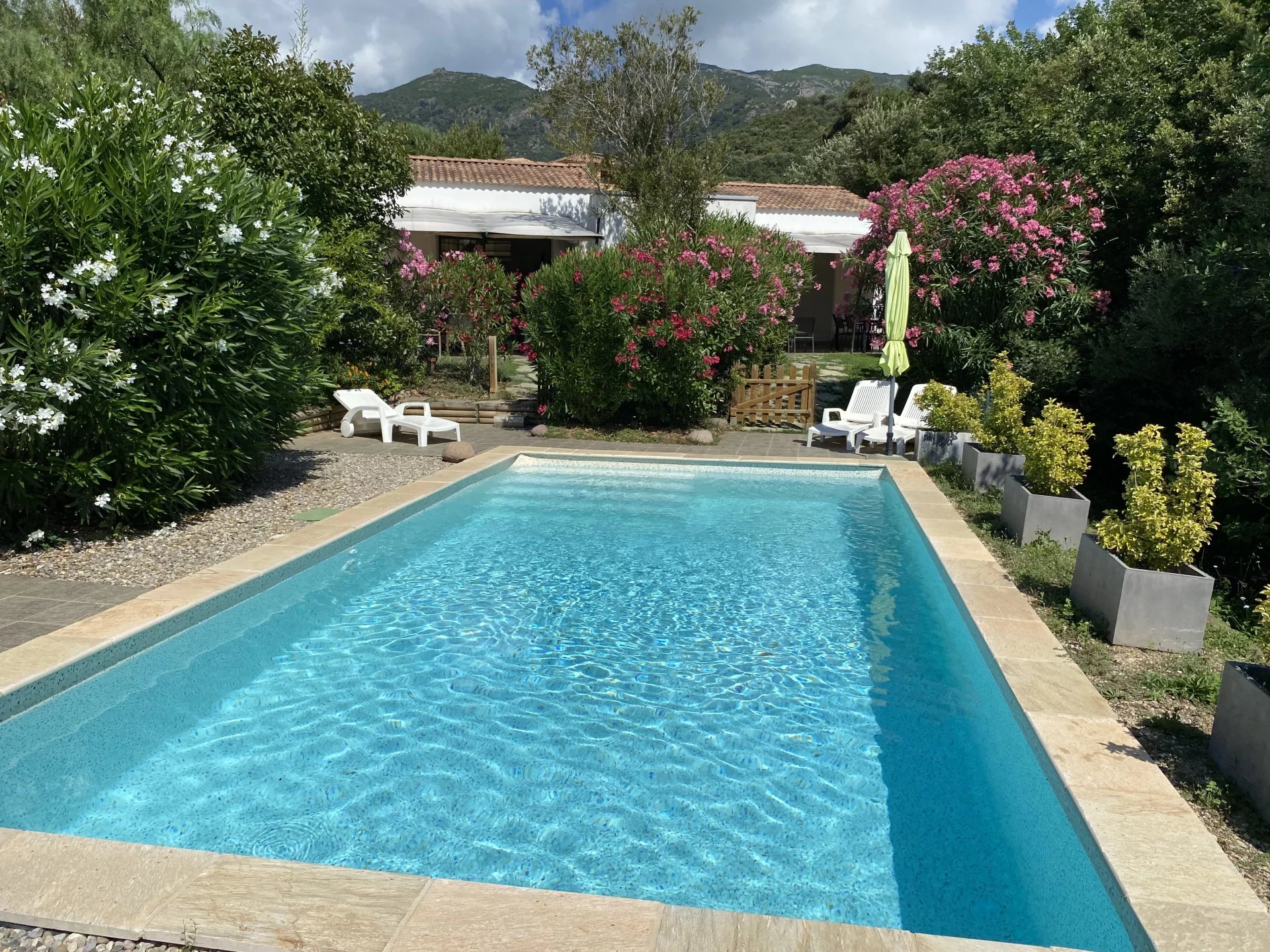 Vente Maison Oletta