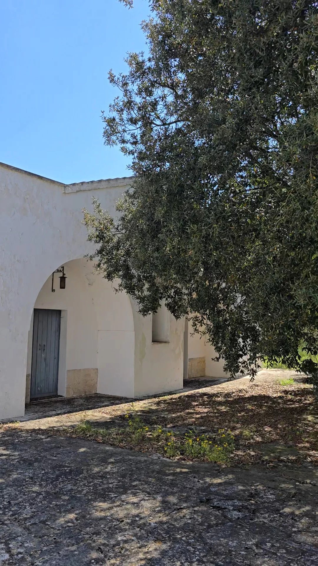 Sale Property Martina Franca