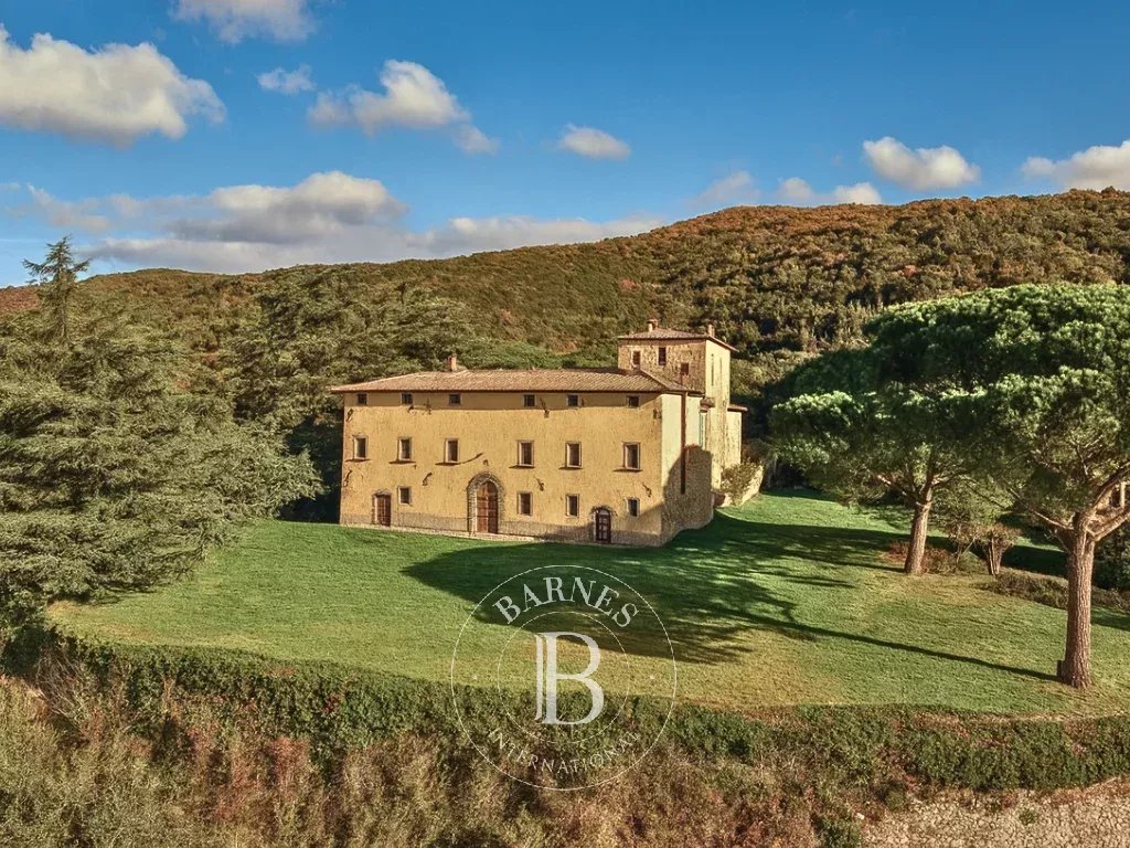 Château Arezzo  -  ref 86336934 (picture 2)