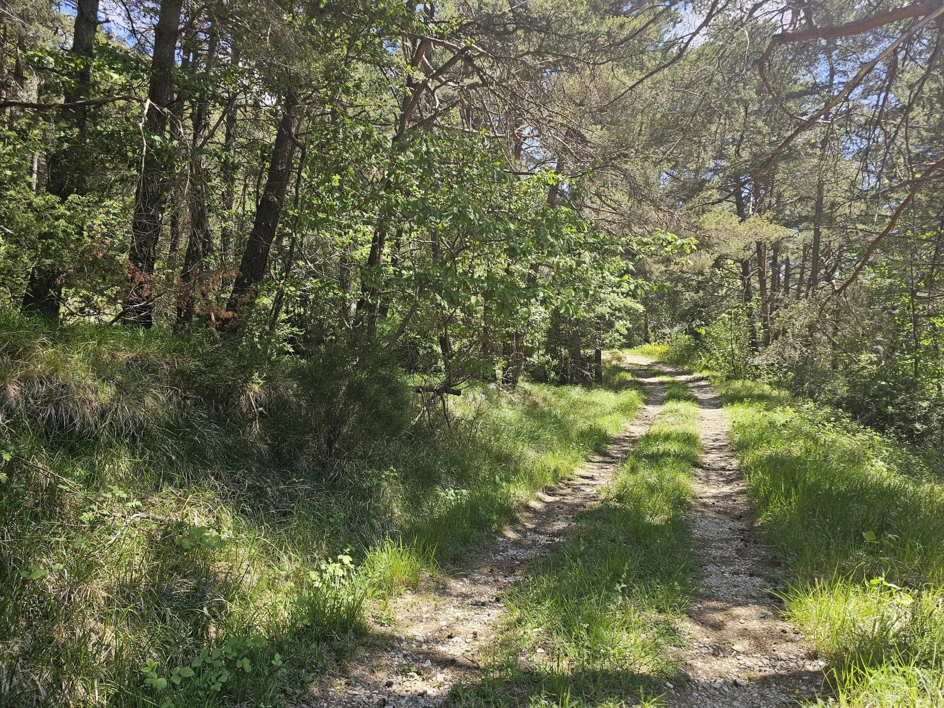 Terrain constructible  2 planches