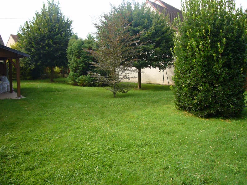 vente-terrain-igny-83871506