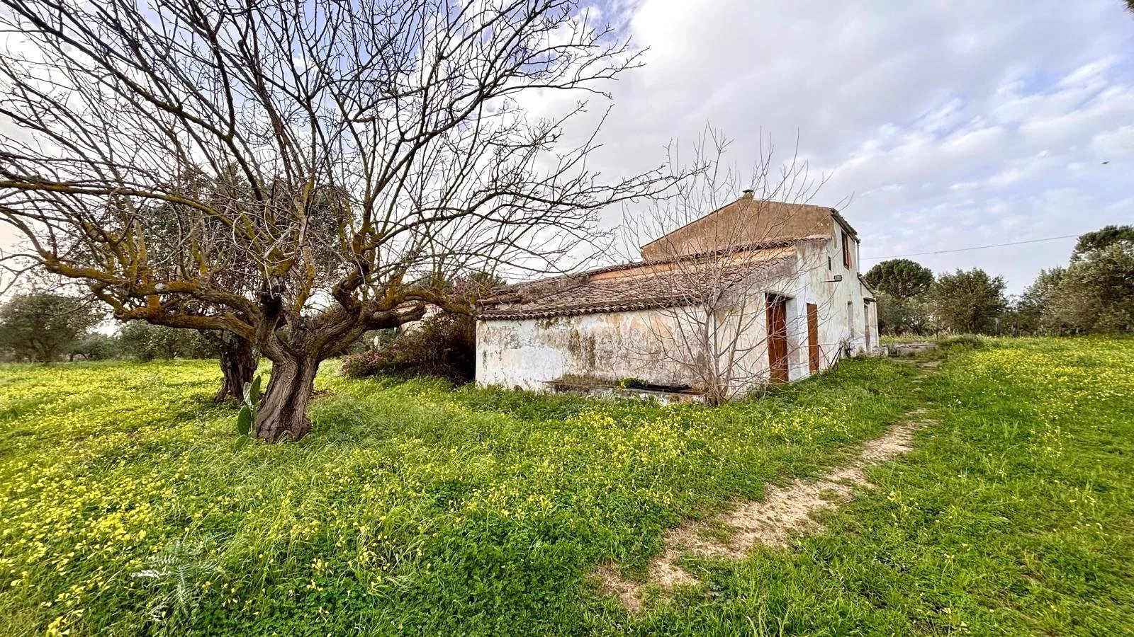 Vendita Rudere Partinico