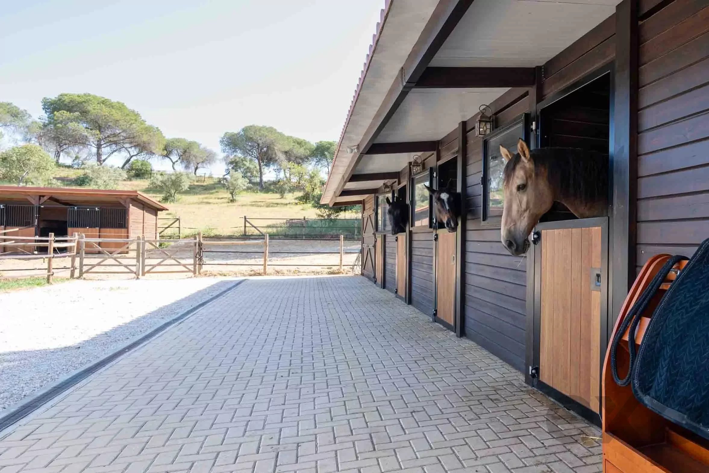The Most Exclusive Private Estate In The Golden Triangle, Almancil 87095477 image 26