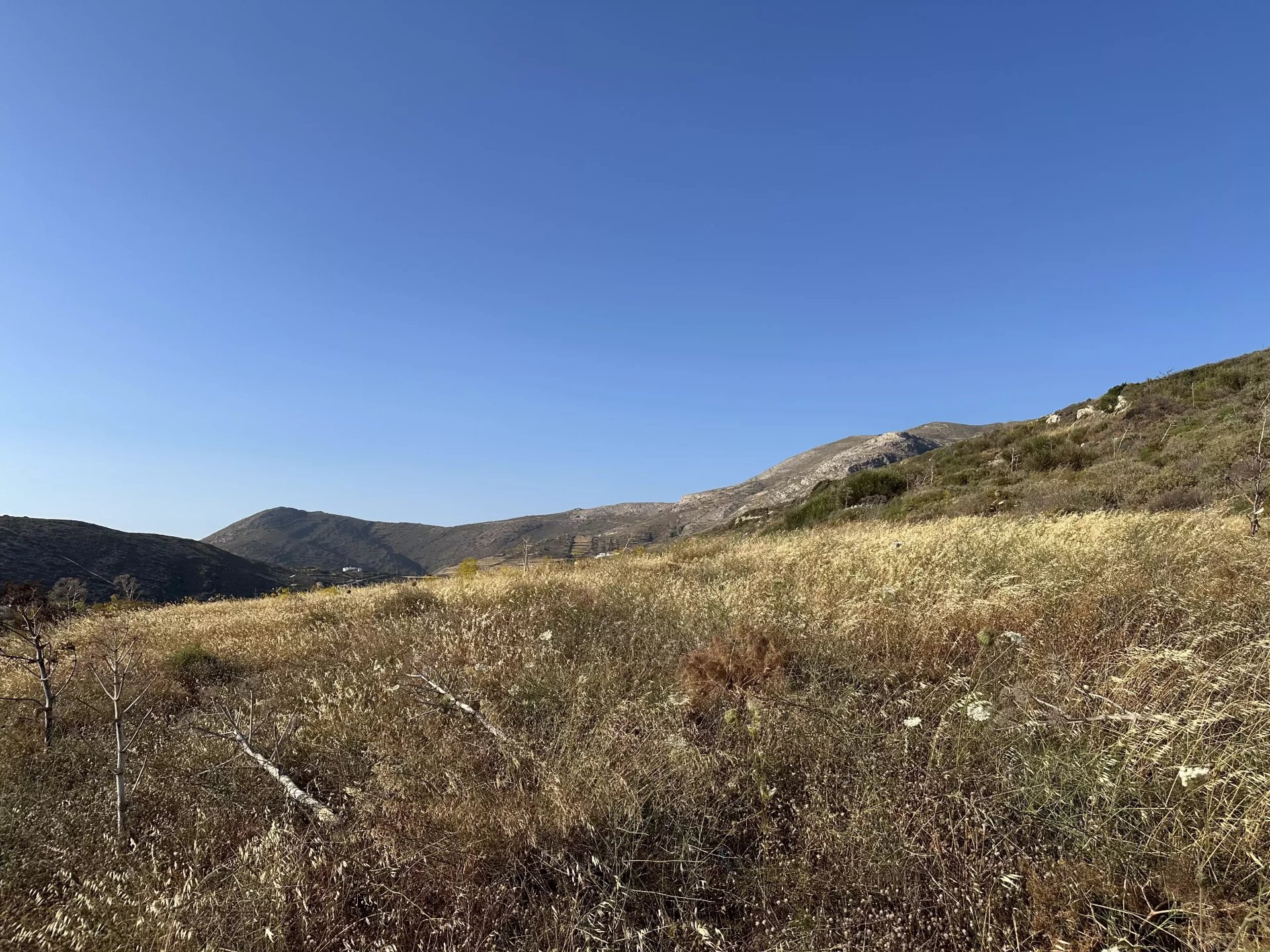 Εικόνα ιδιοκτησίας 11