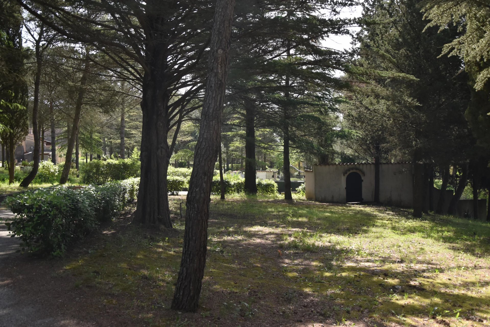 Land in Palaja - Image 2