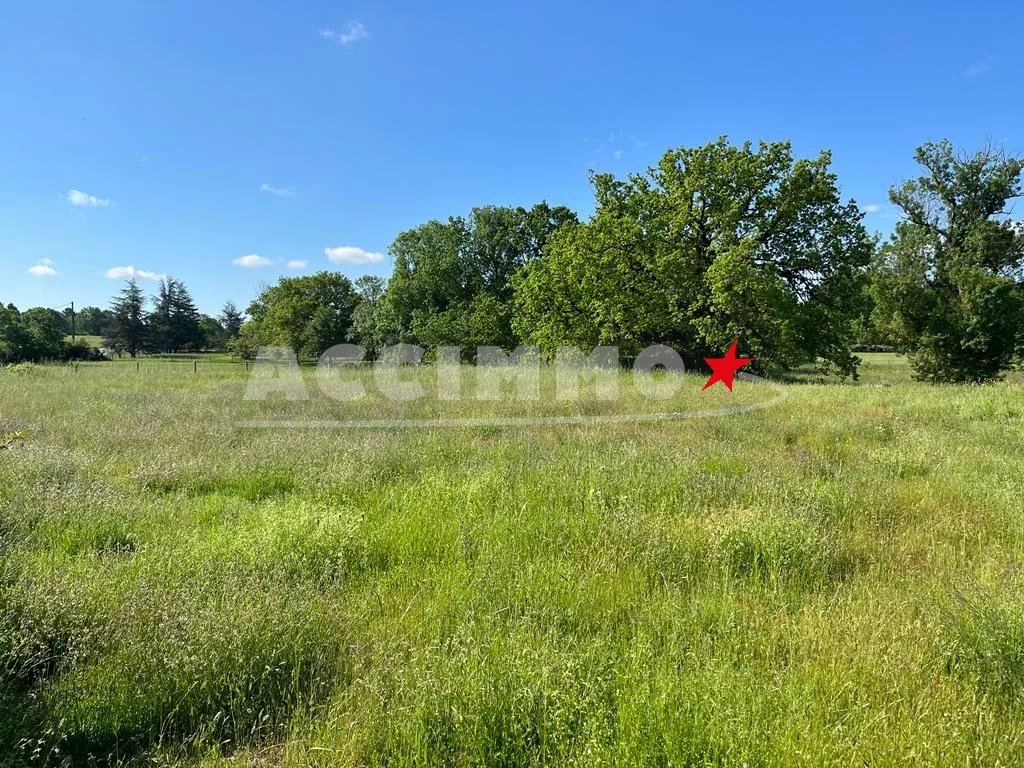 Vente Terrain Graulhet