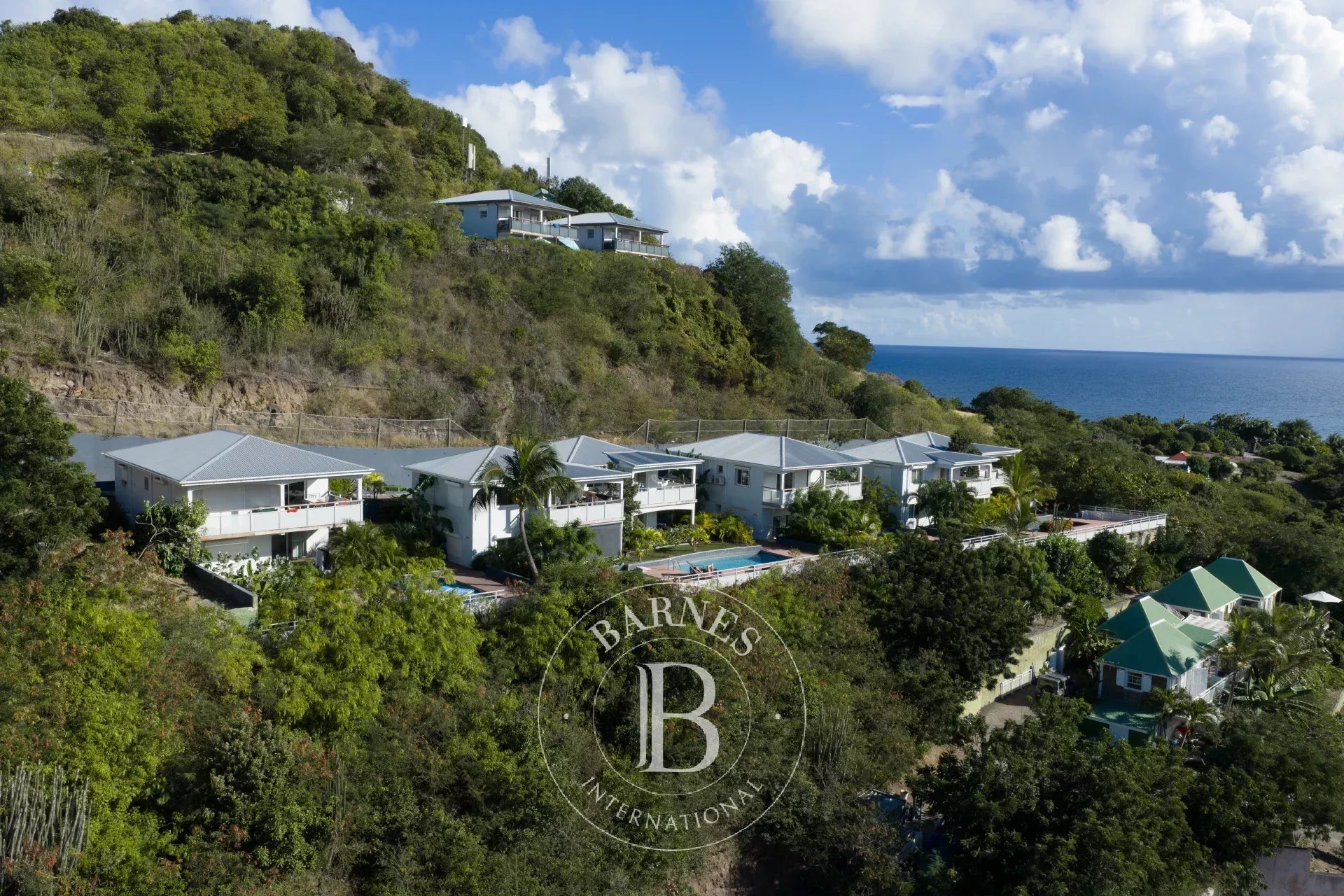 Appartement Saint-Barthélemy  -  ref 87265675 (picture 3)