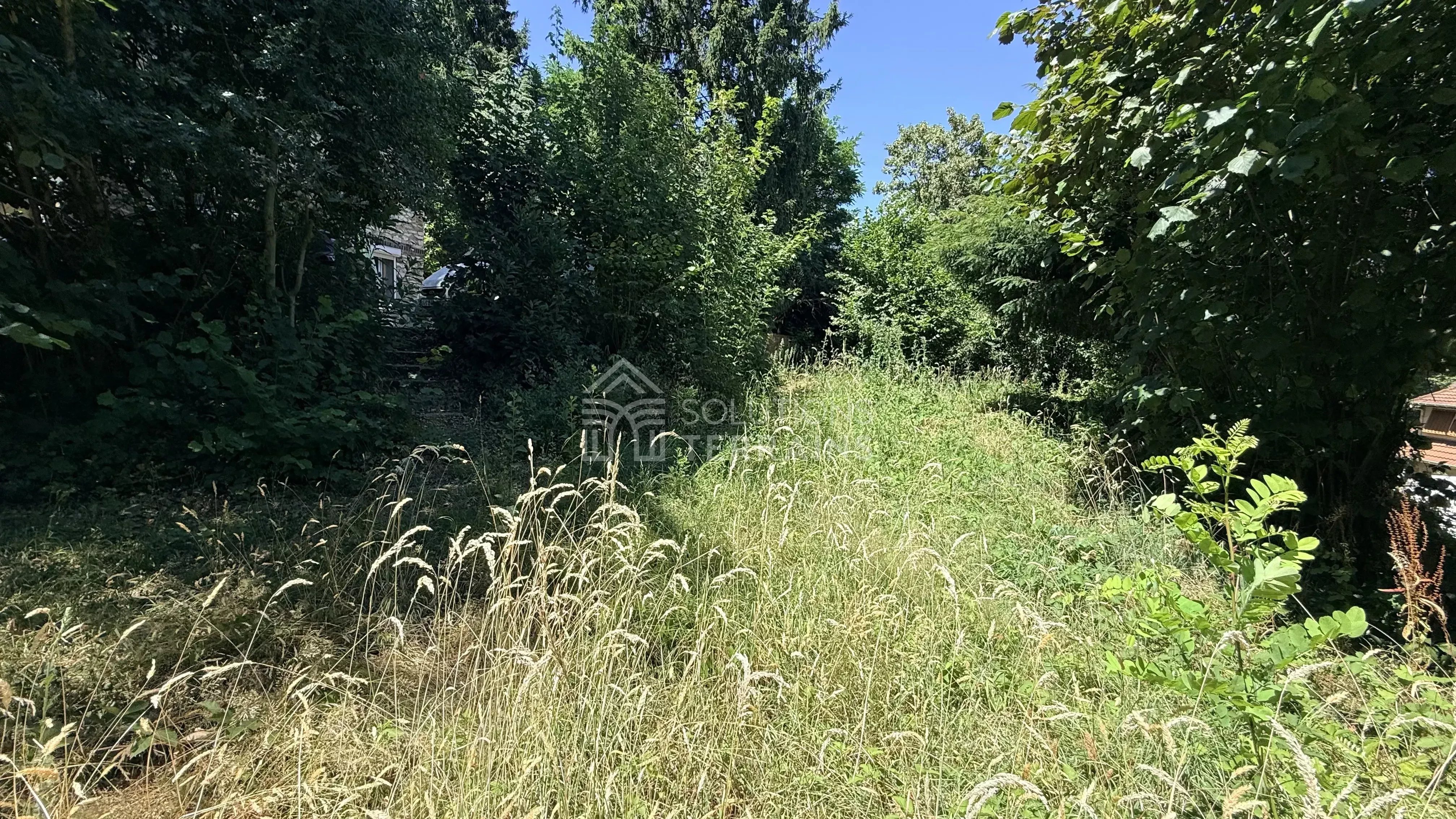 Agence immobilière de Solutions Terrains