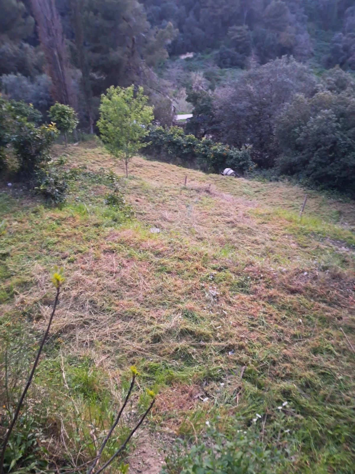 Sale Building land - Nice Saint Pancrace