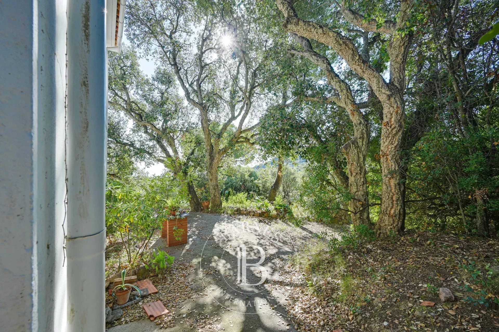 Arsa Begur - picture 22