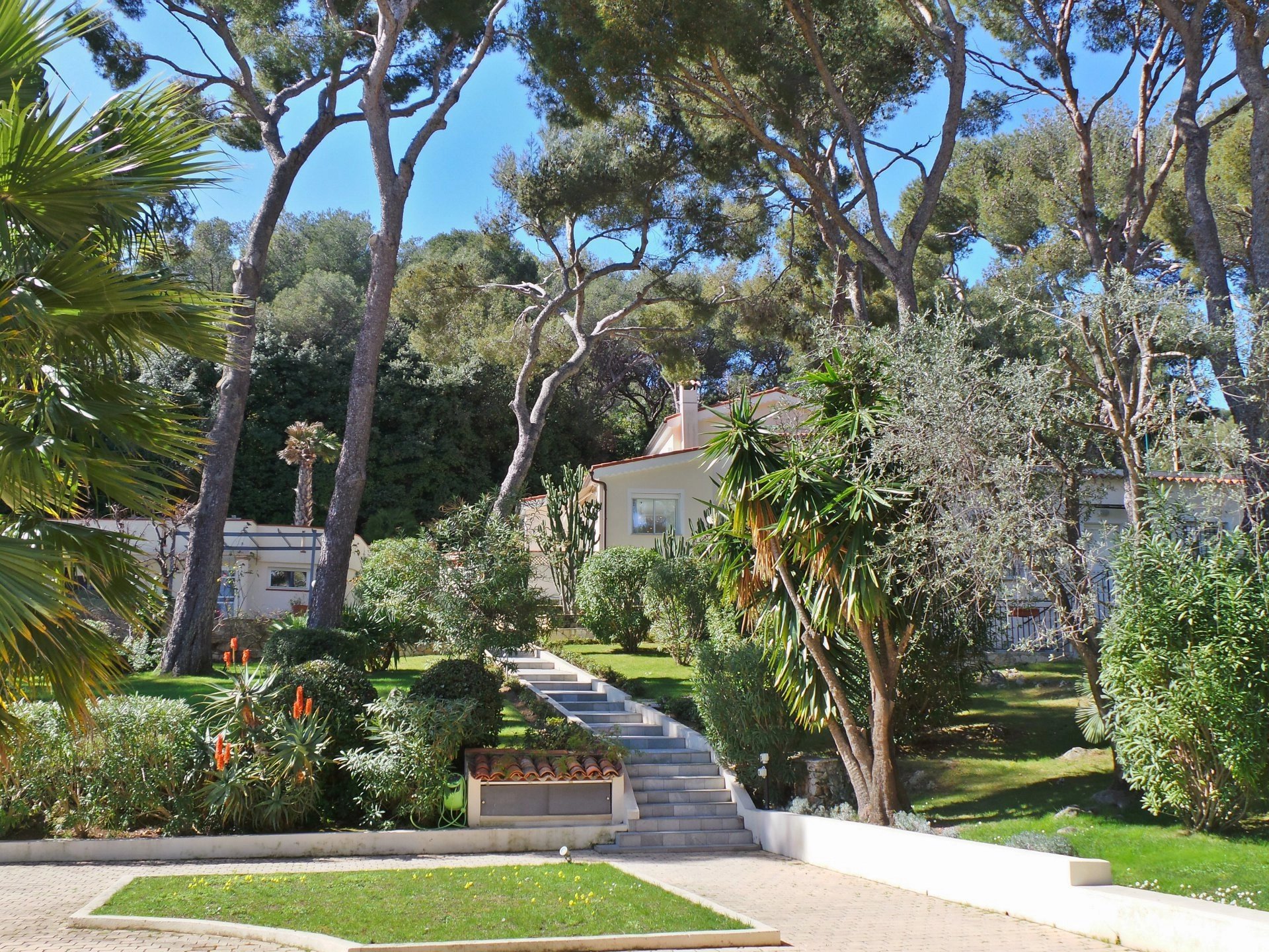 BAC-Estate-Villa-Vue-Mer-Parc-Piscine-Saint-Jean-Cap-Ferrat