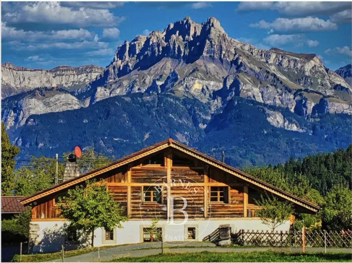 Çiftlik Combloux - picture 19