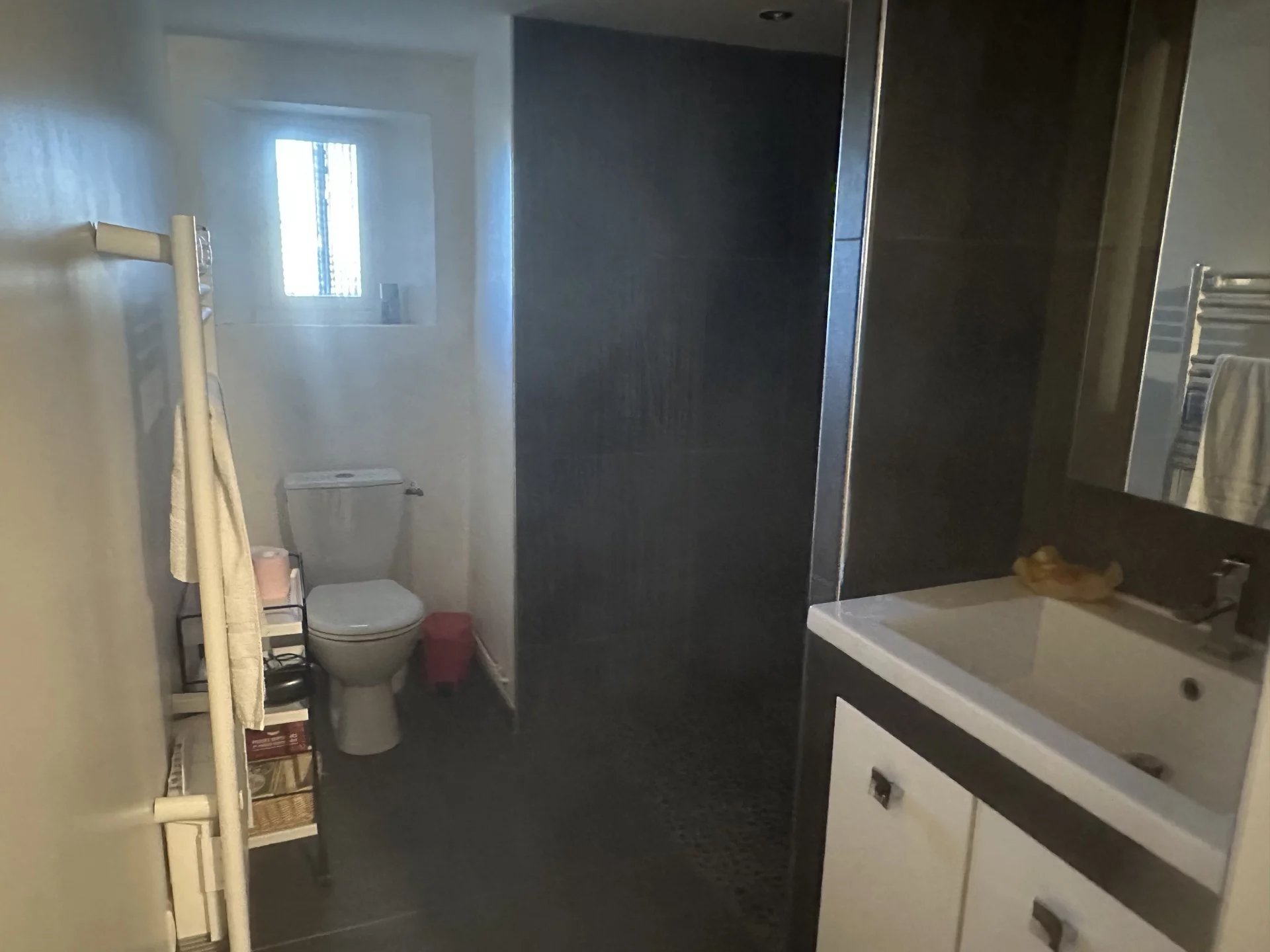 Vente Propriété La Ferrière-Airoux