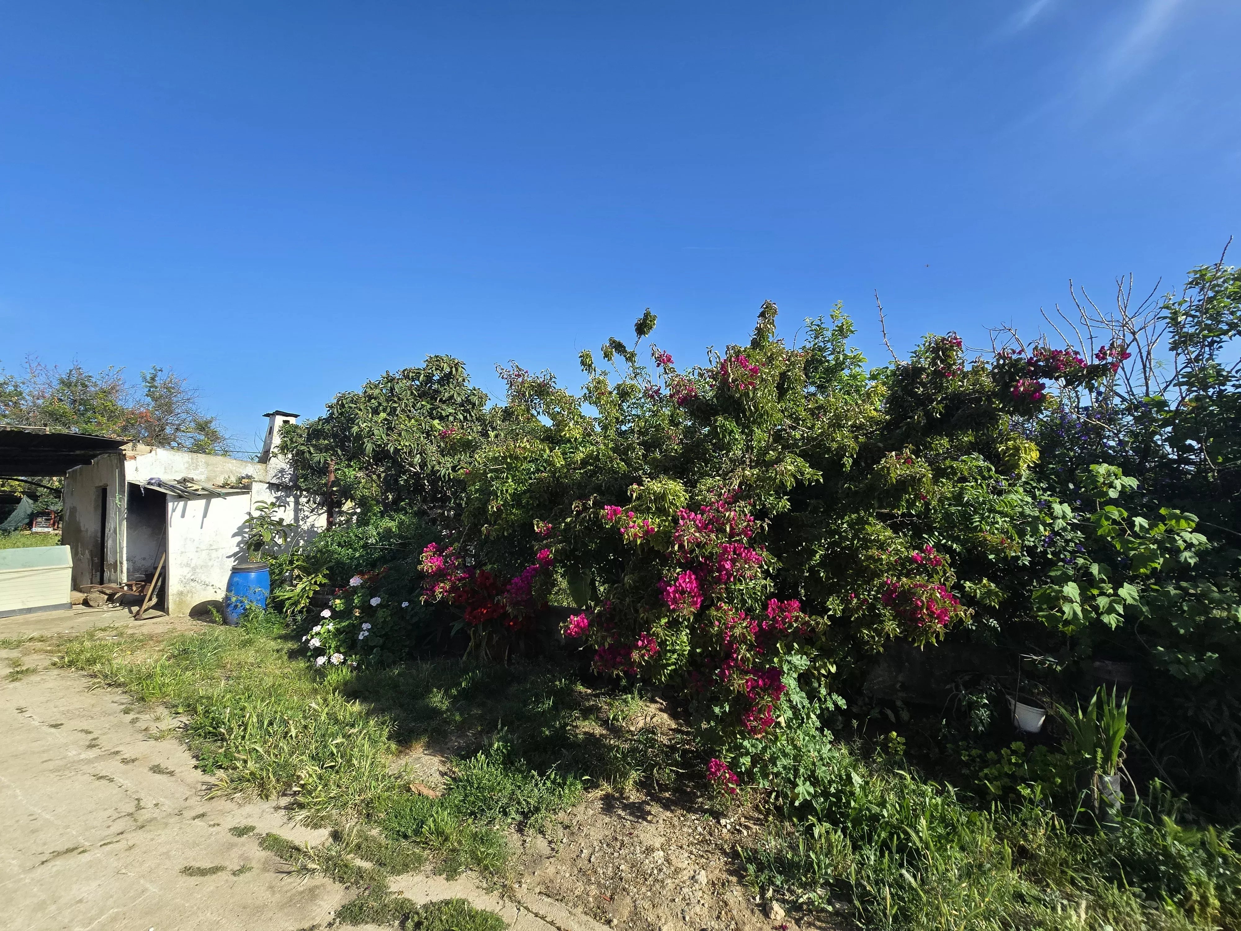 6 room Farmhouse with 1.5 hectares of land and sea view 86949039 image 25