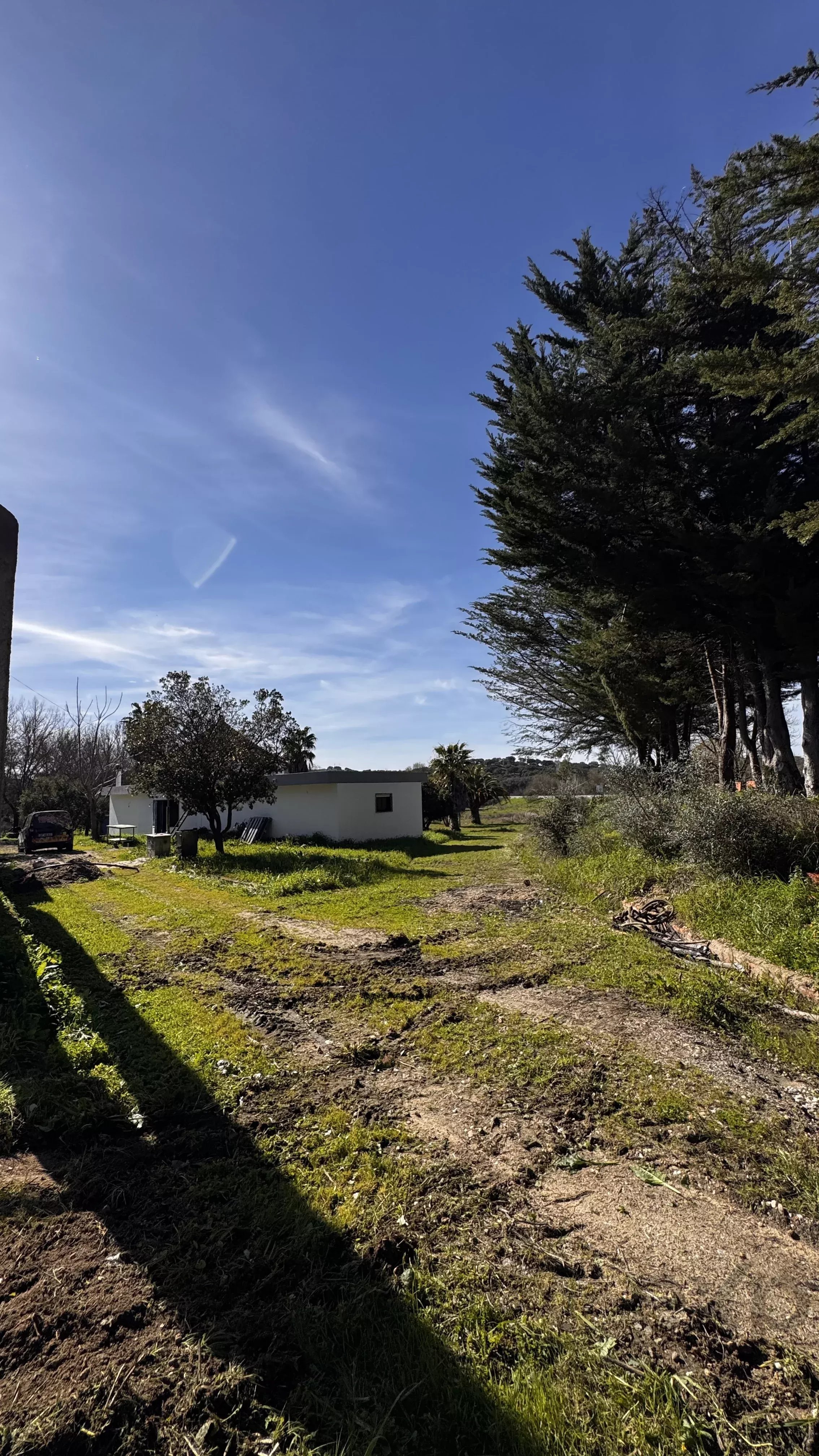 Estate in Arraiolos, Évora 86141659 image 45