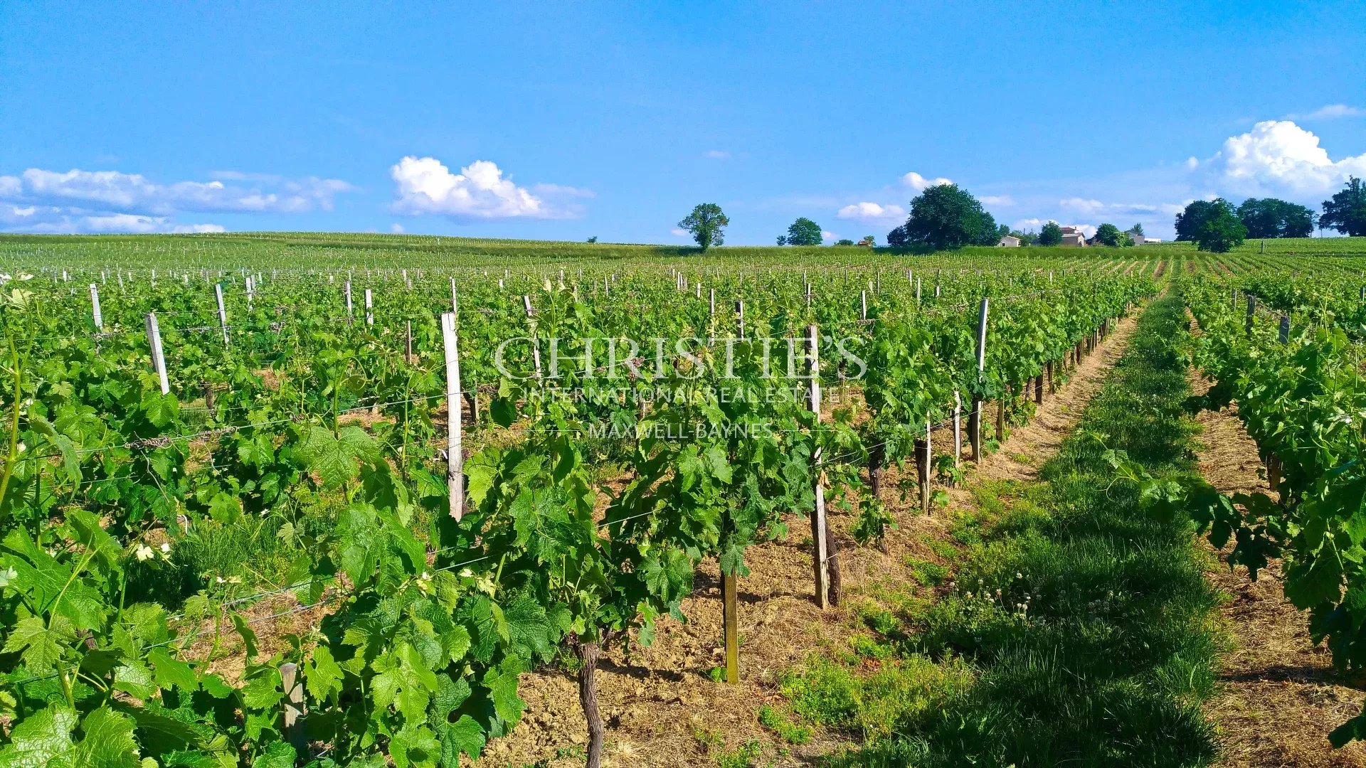 12 Bedroom Vineyard's Image 14