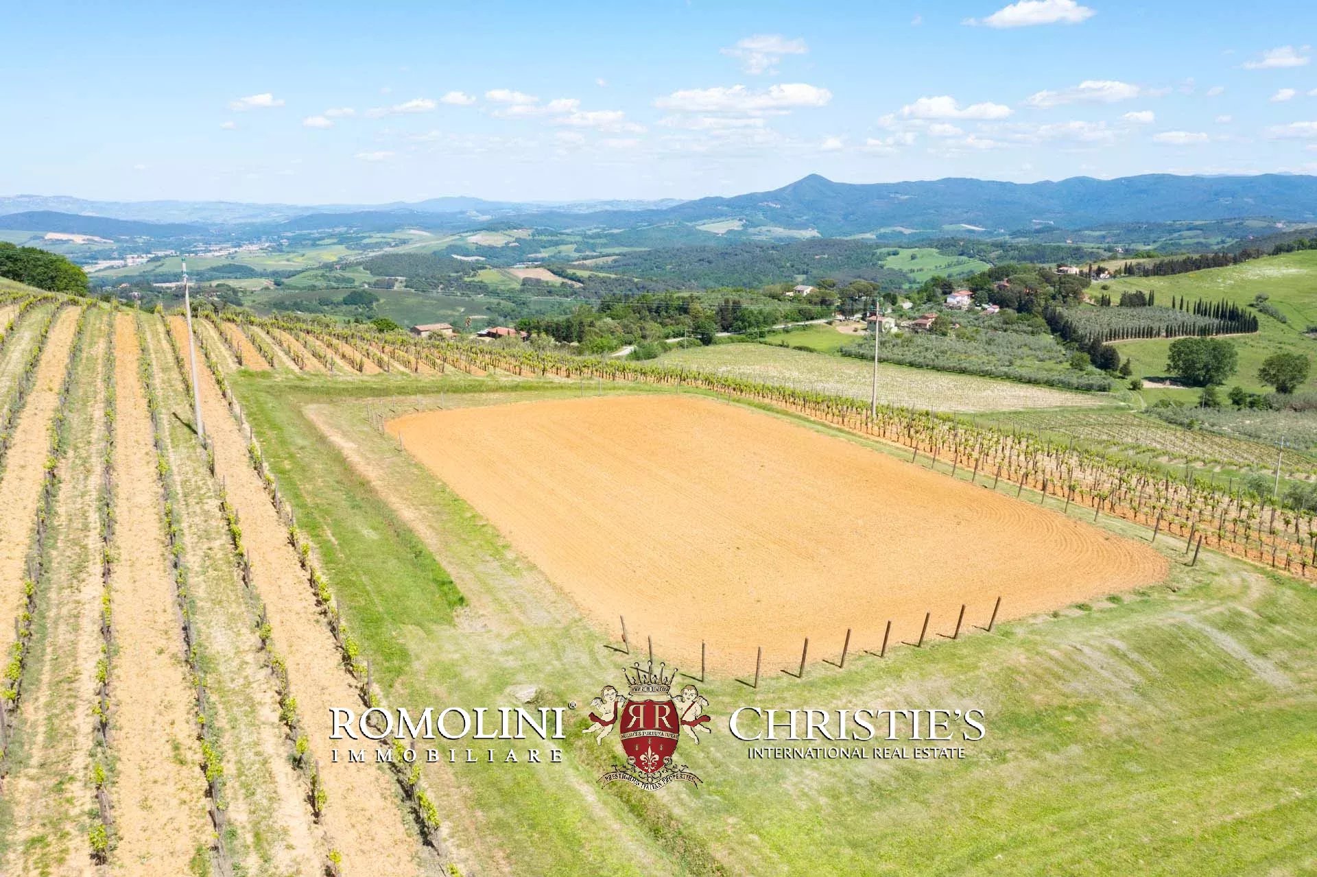 EQUESTRIAN SEA VIEW WINE ESTATE WITH VINEYARDS FOR SALE CLOSE TO BOLGHERI, TUSCANY