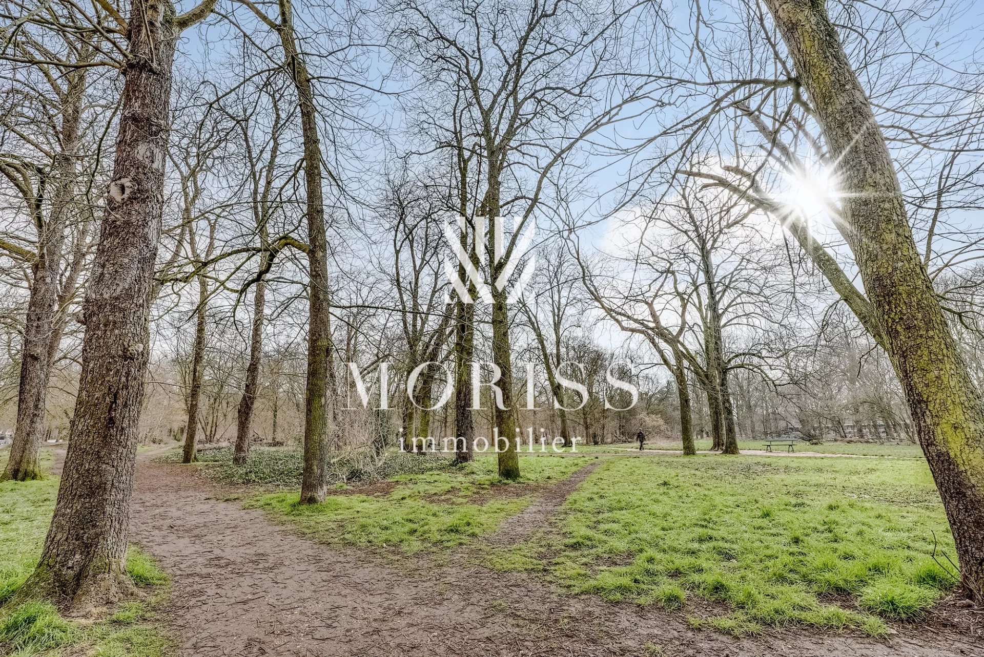 FACE BOIS 2 PIÉCES 25m2 - Image Array