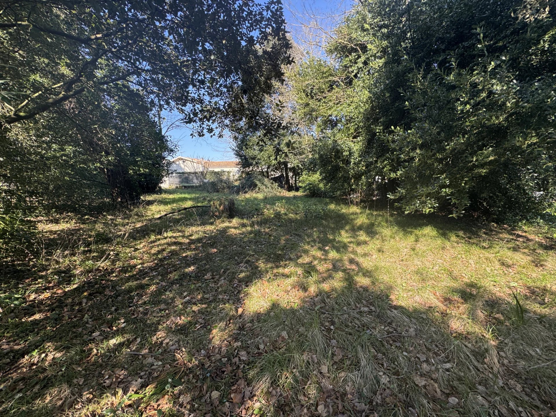 Vente Terrain Meschers-sur-Gironde