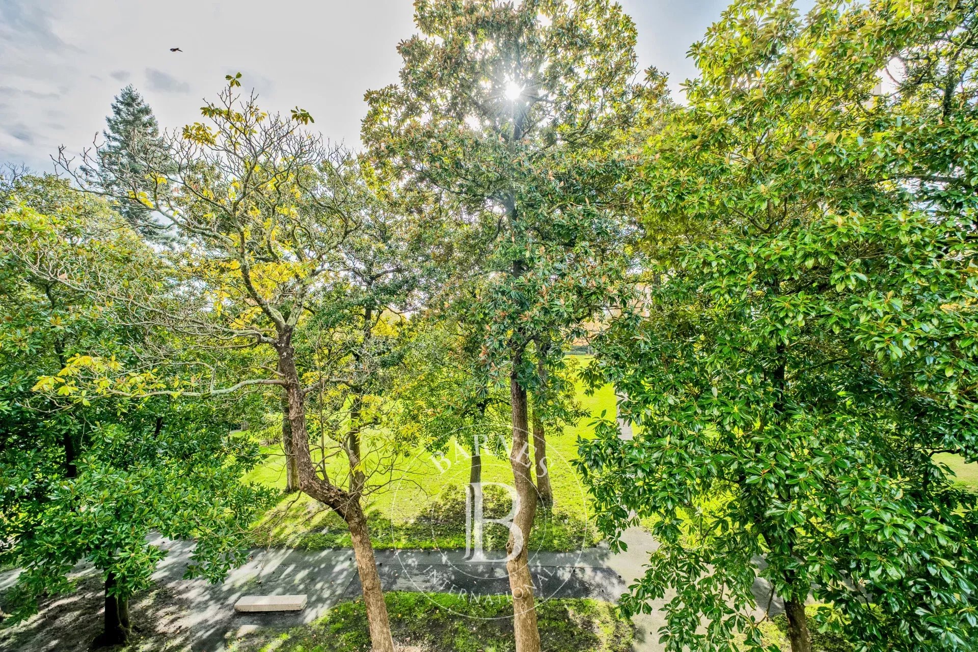 Daire Bordeaux - picture 13