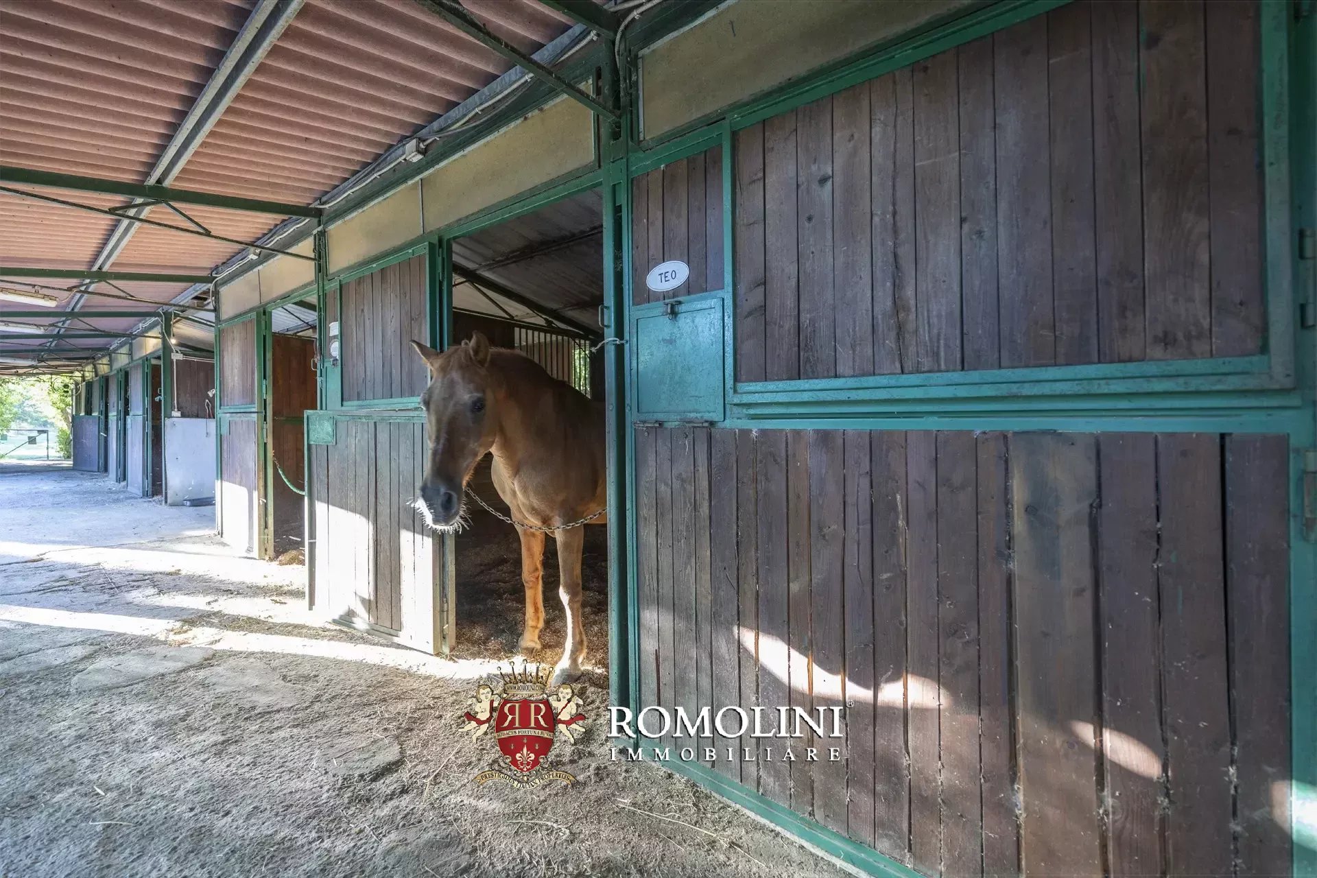 9 Bedroom Horse Property's Image 23