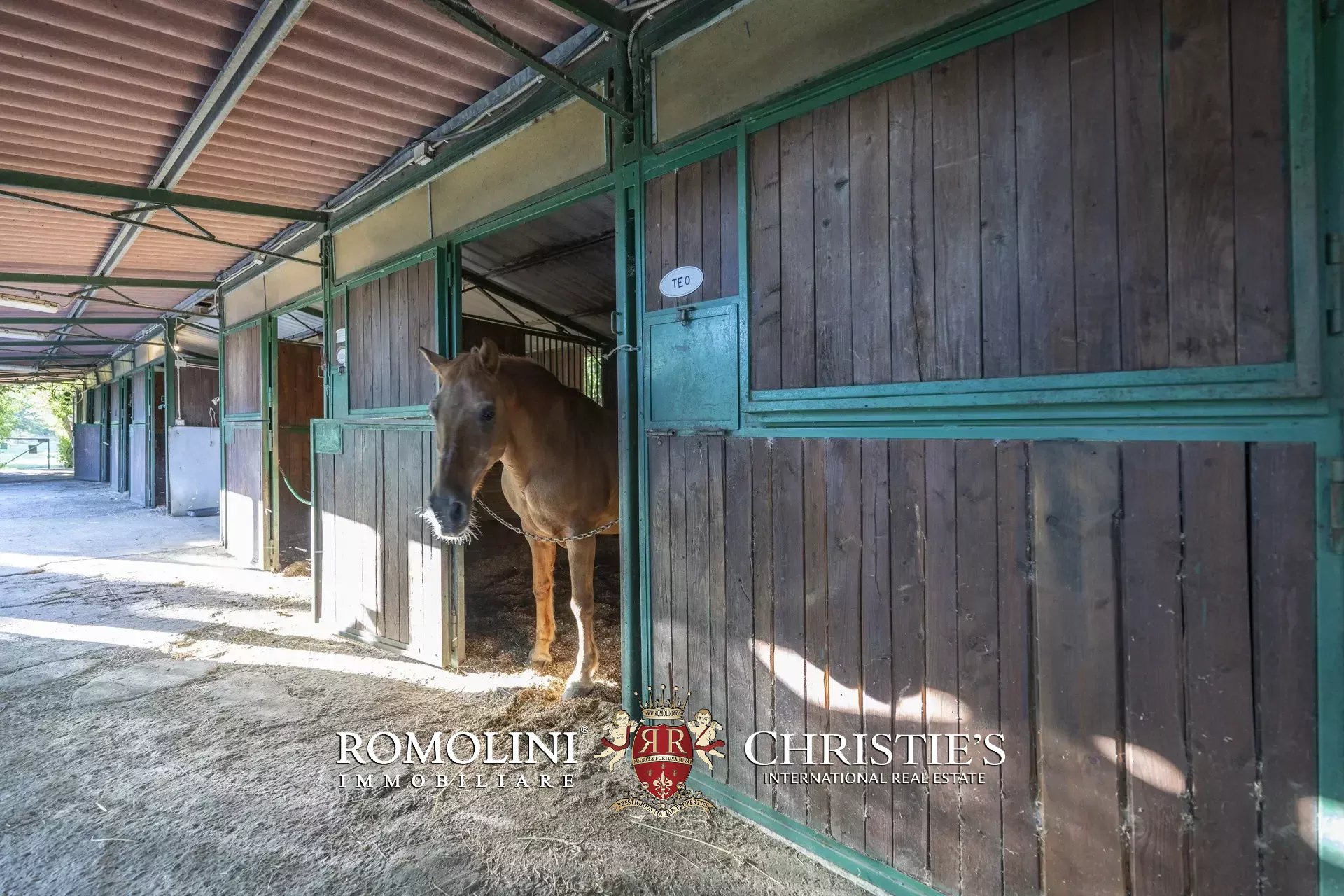 9 Bedroom Horse Property's Image 23