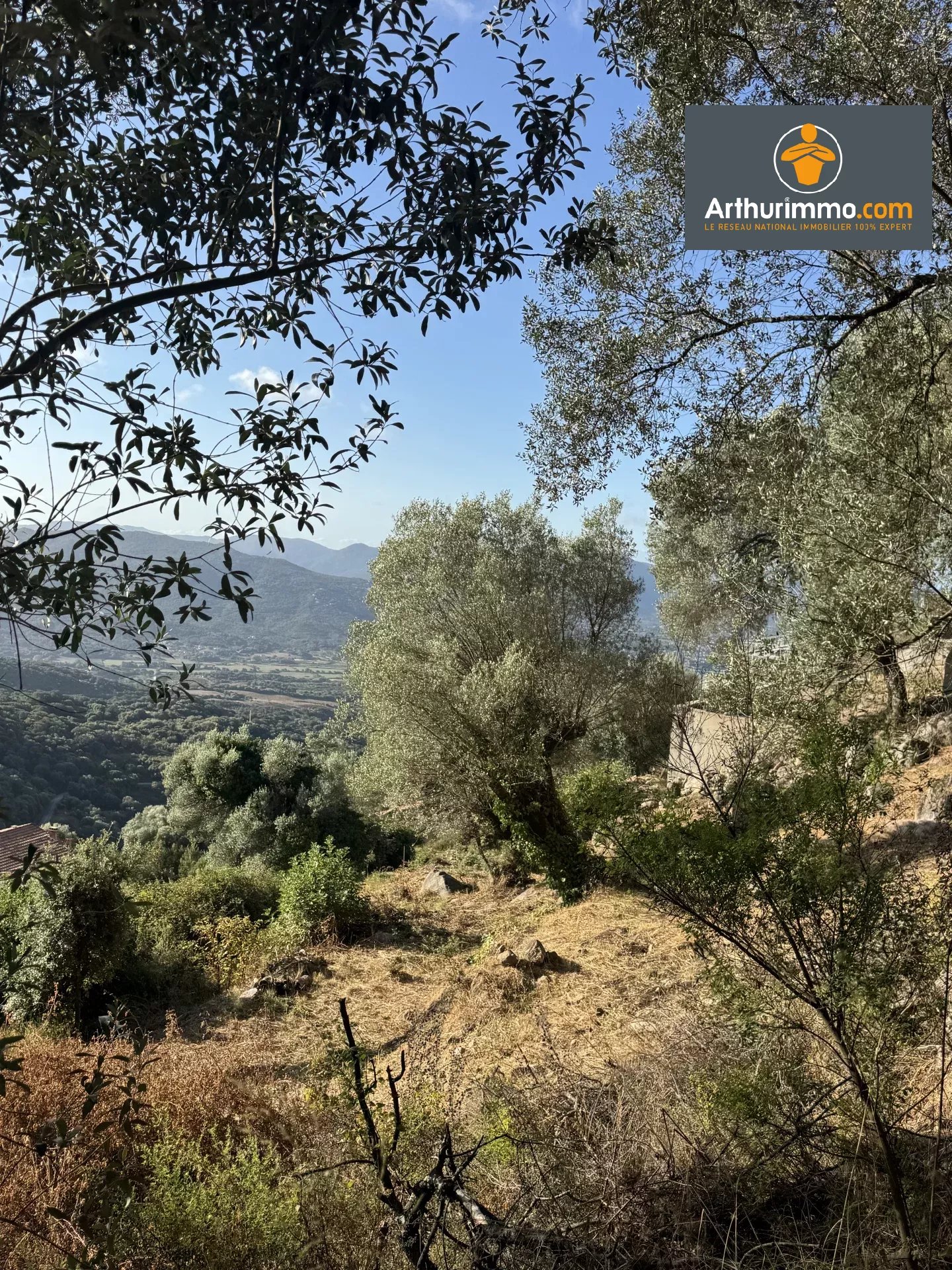 RARE À LA VENTE - TERRAIN CONSTRUCTIBLE OLMETO - Photo 2