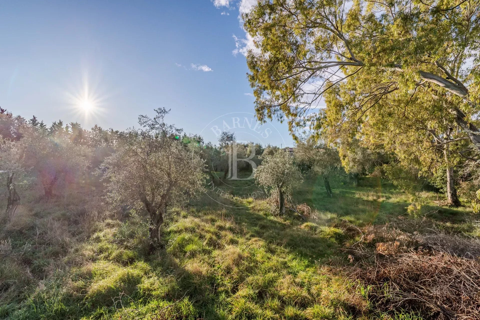 Walking distance to village - Villa to renovate and building plot with olive trees