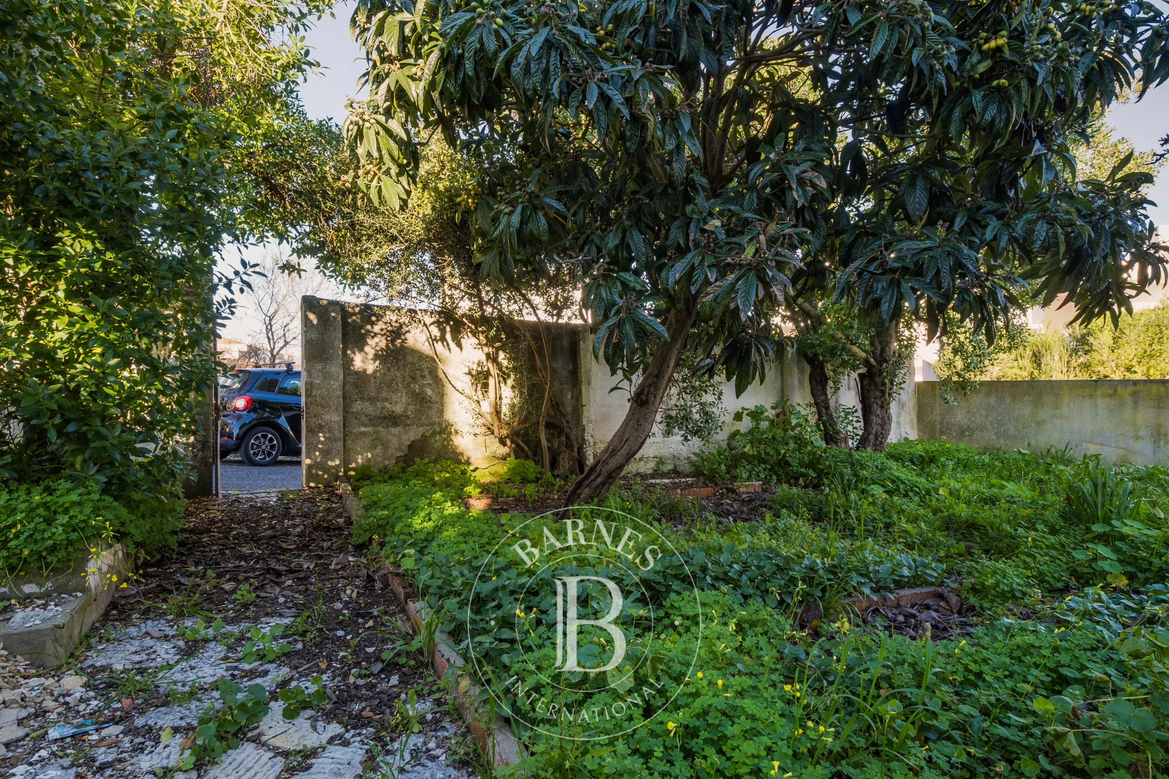 Moradia com Projeto Aprovado no Centro da Parede Moradia com Projeto Aprovado no Centro da Parede