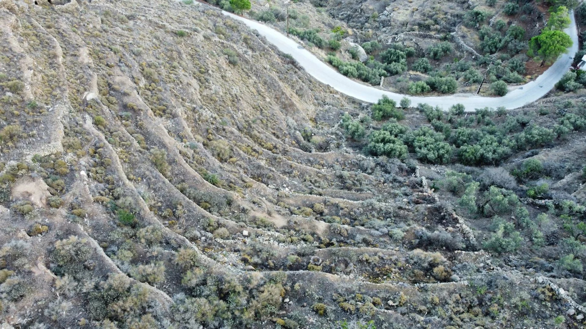 Εικόνα ιδιοκτησίας 6