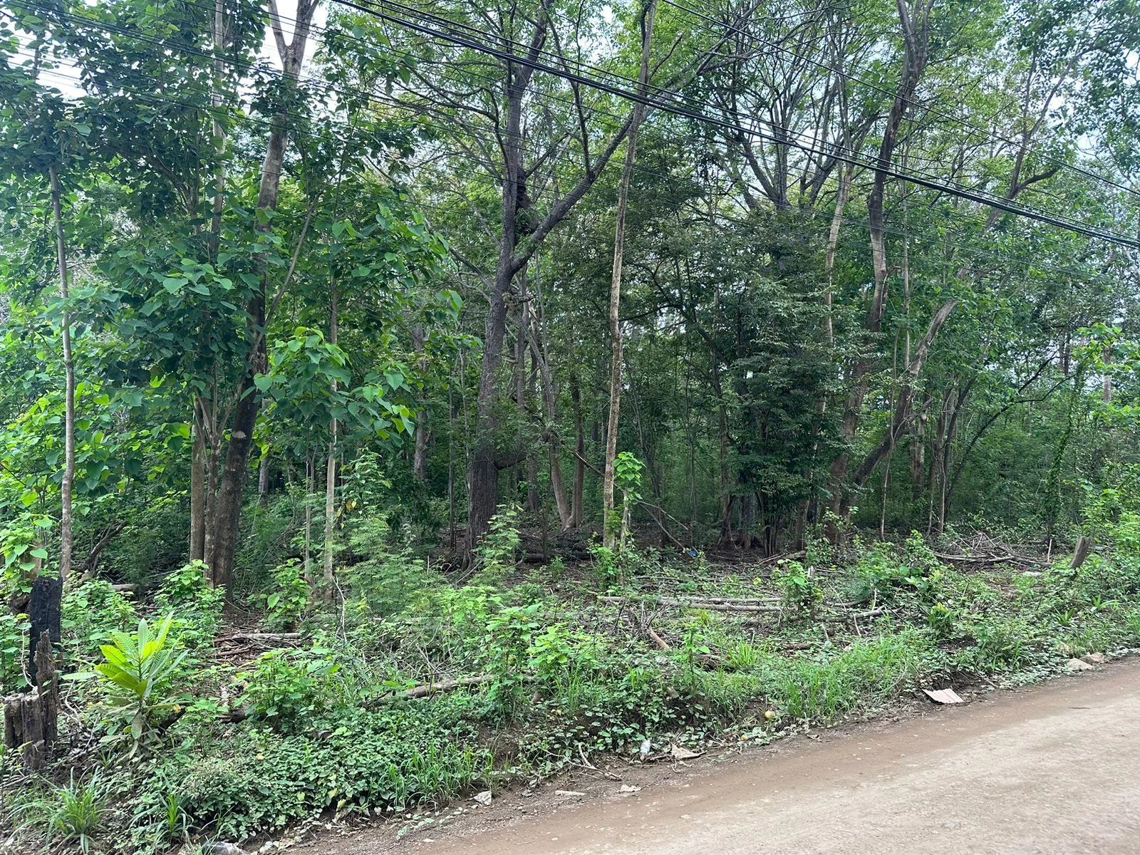 Venta Terreno Tamarindo