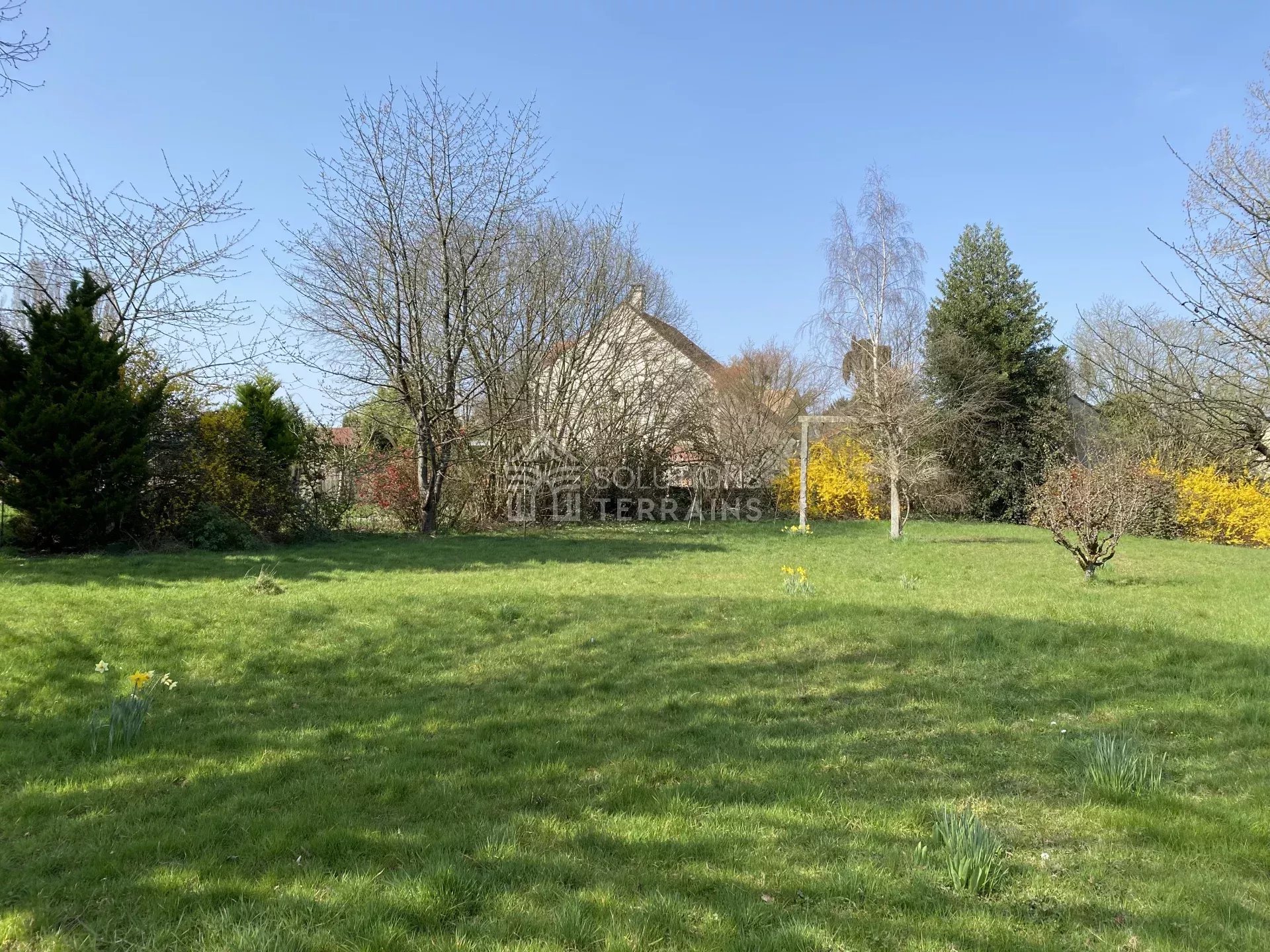 Agence immobilière de Solutions Terrains