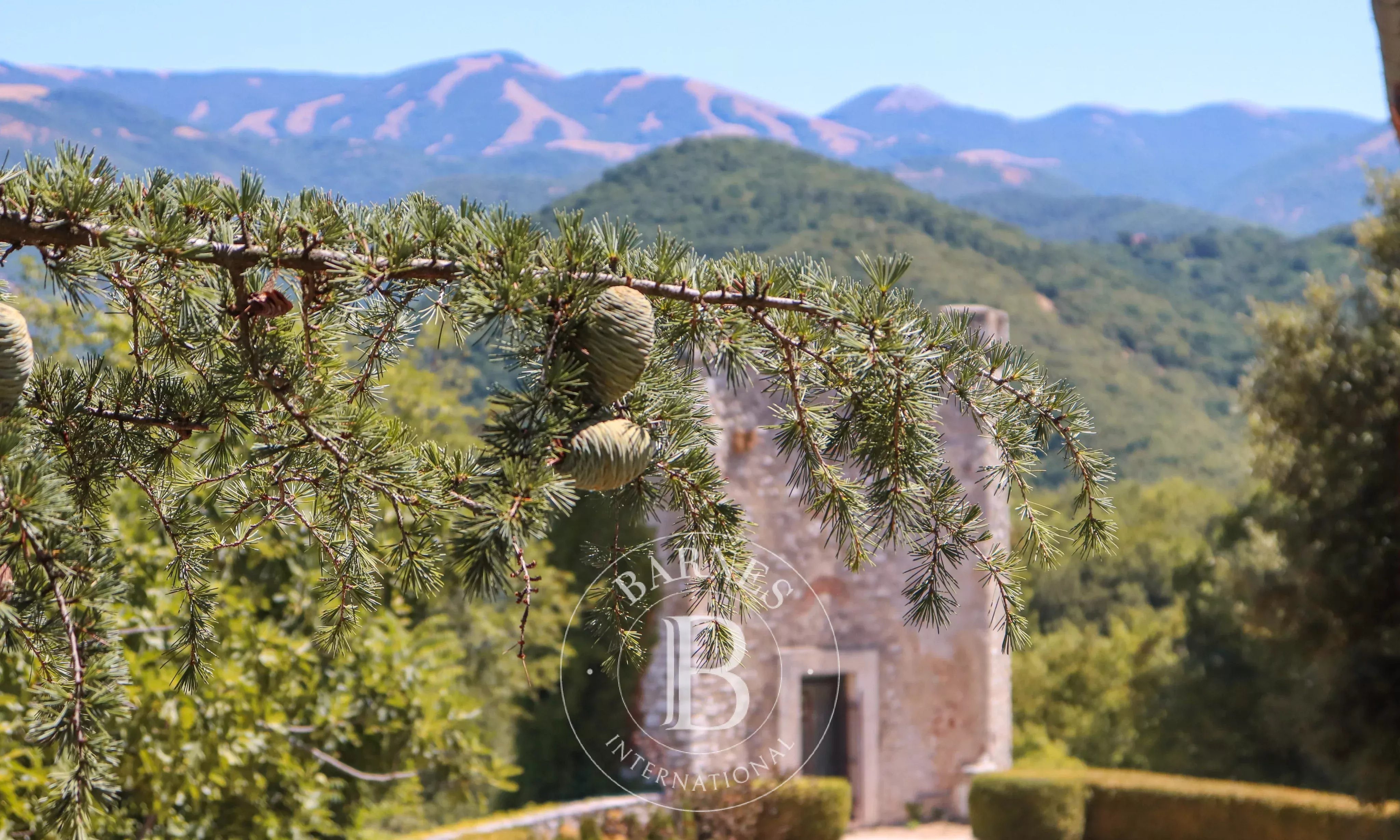 Villa Rieti - picture 6