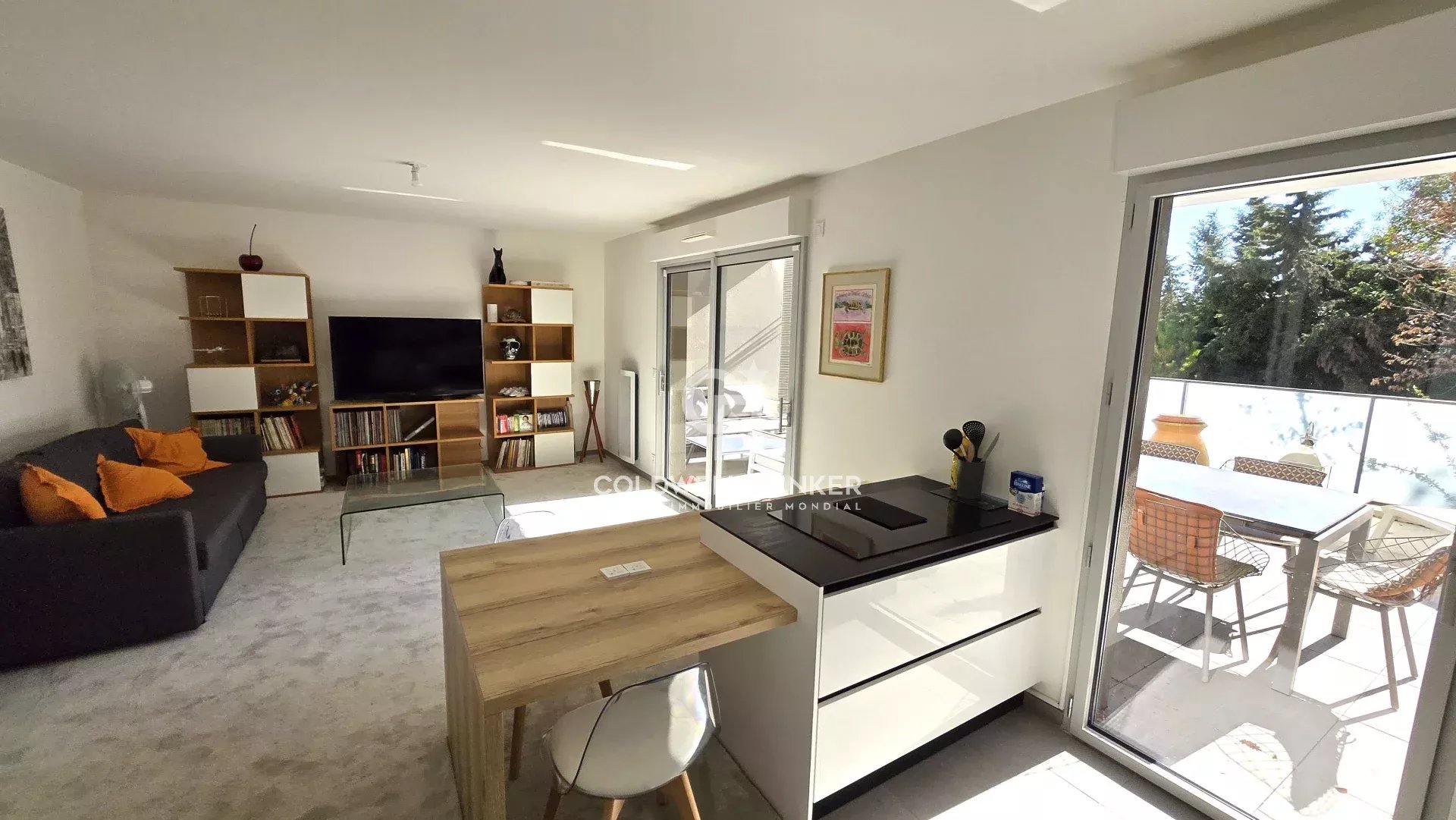 Vente Appartement Mougins