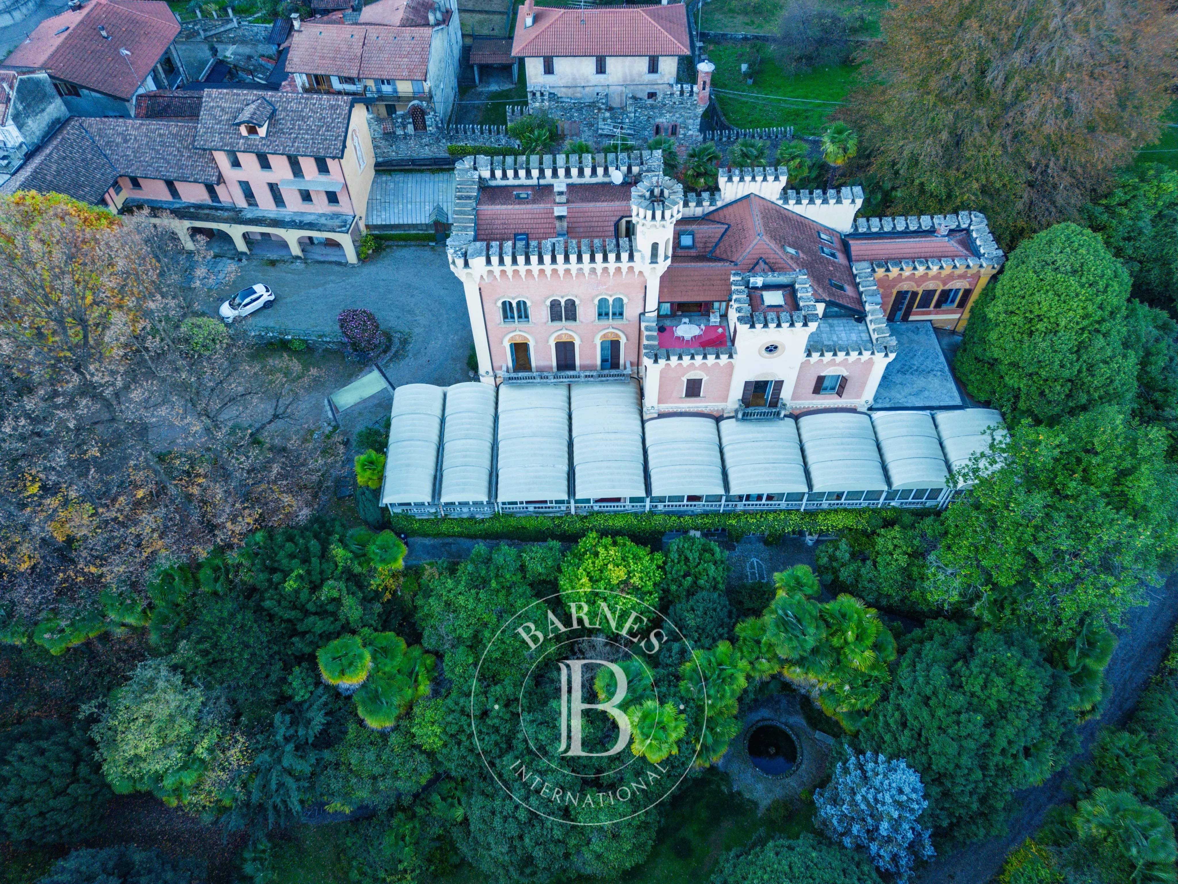 Saray Lesa - picture 5