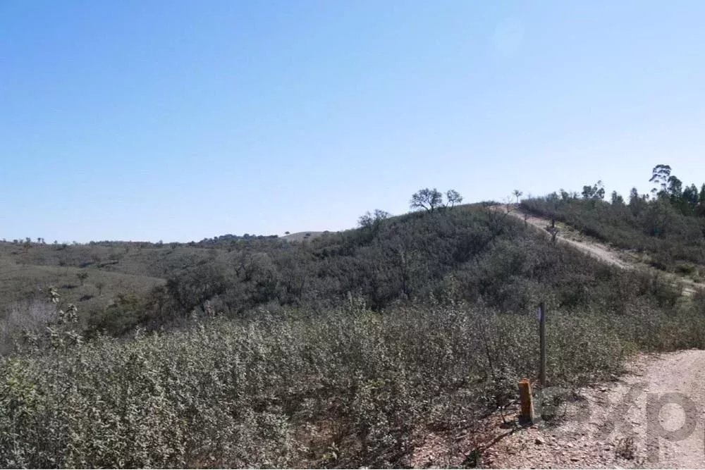 Exceptional 65-Hectare Estate in Alentejo with Tourism Development Potential 85506160 image 43