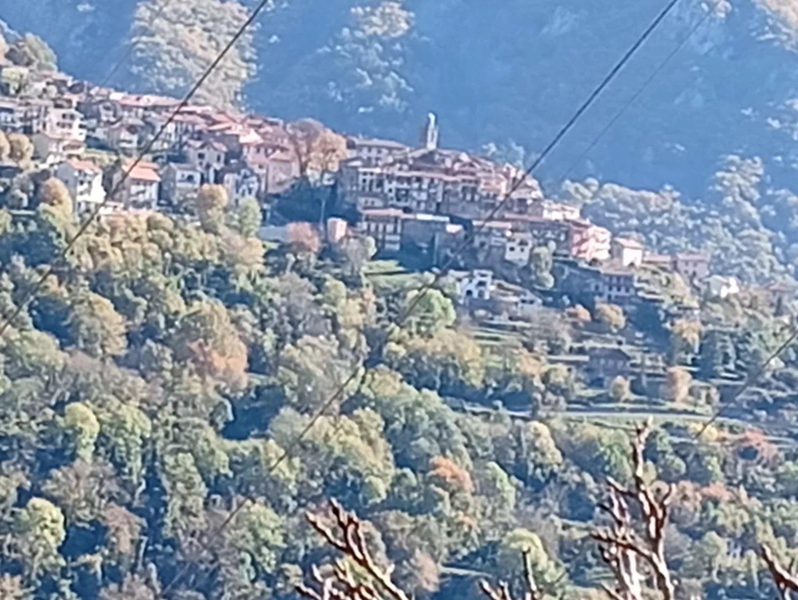 Agence immobilière de AZUR LOC INVEST