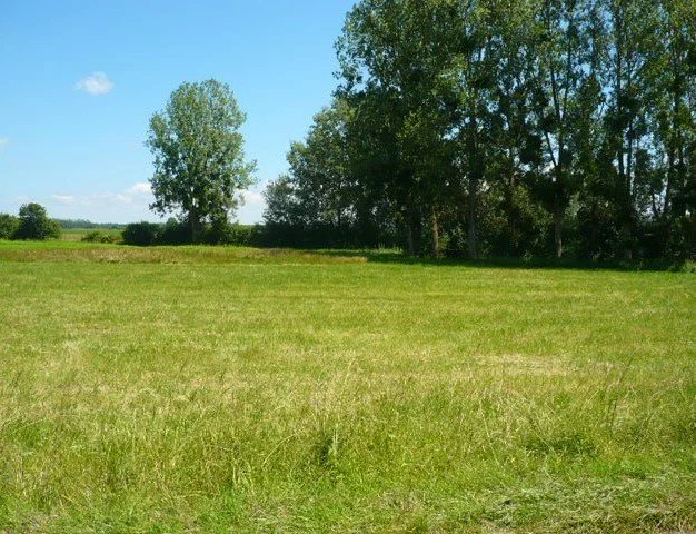 Vente Terrain Auxon